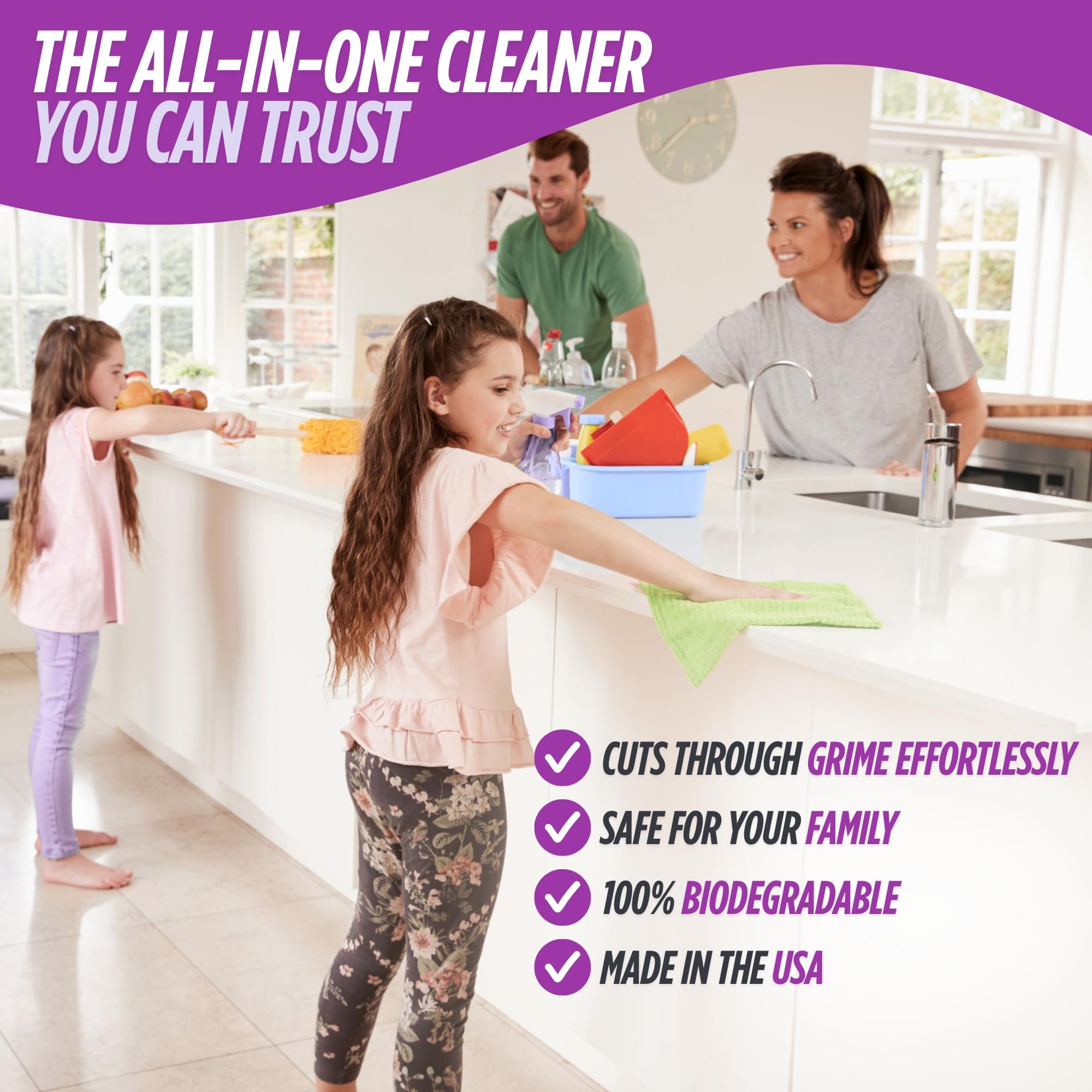 All Purpose Cleaner (40 Fl Oz)