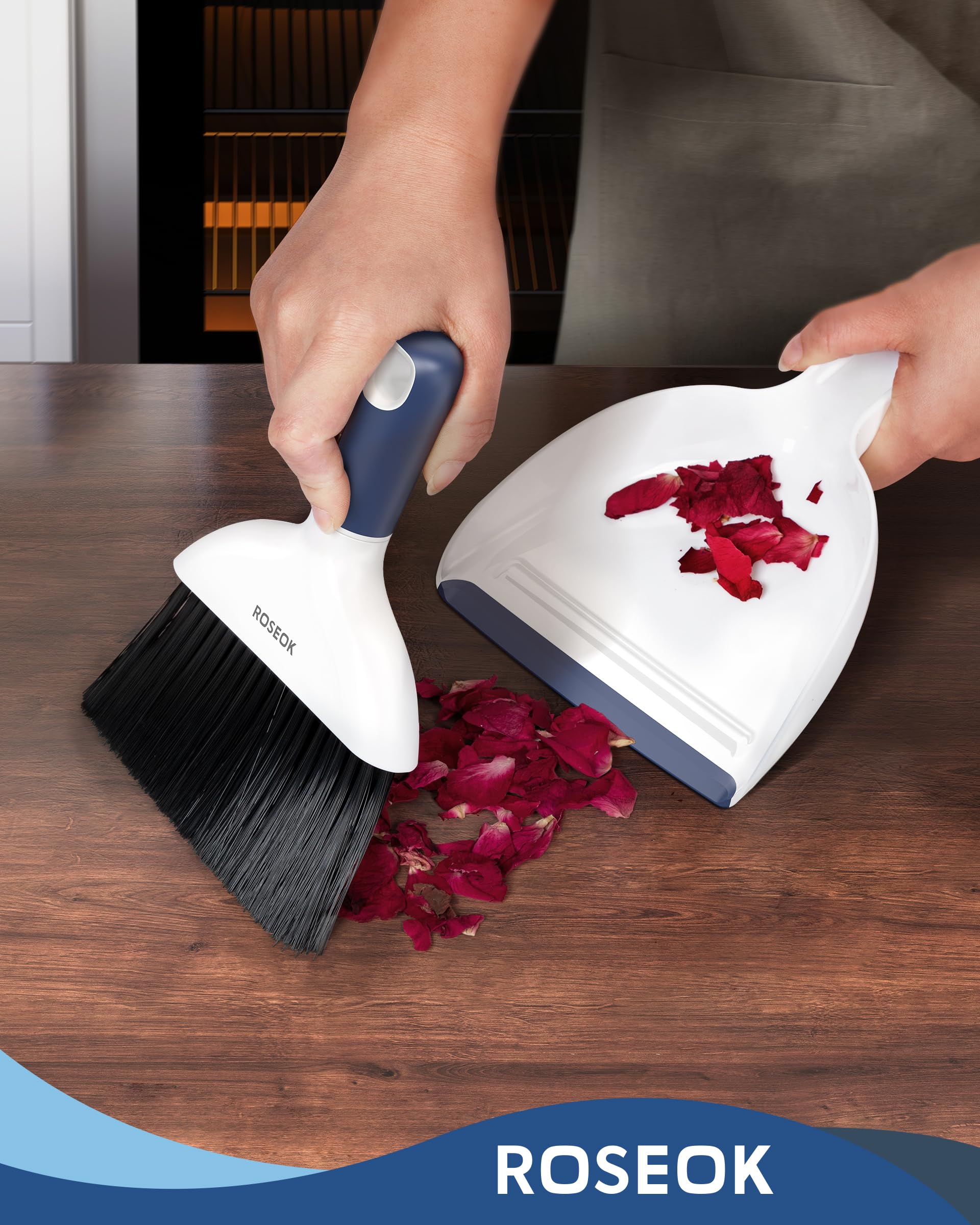 Mini Dustpan and Brush Set