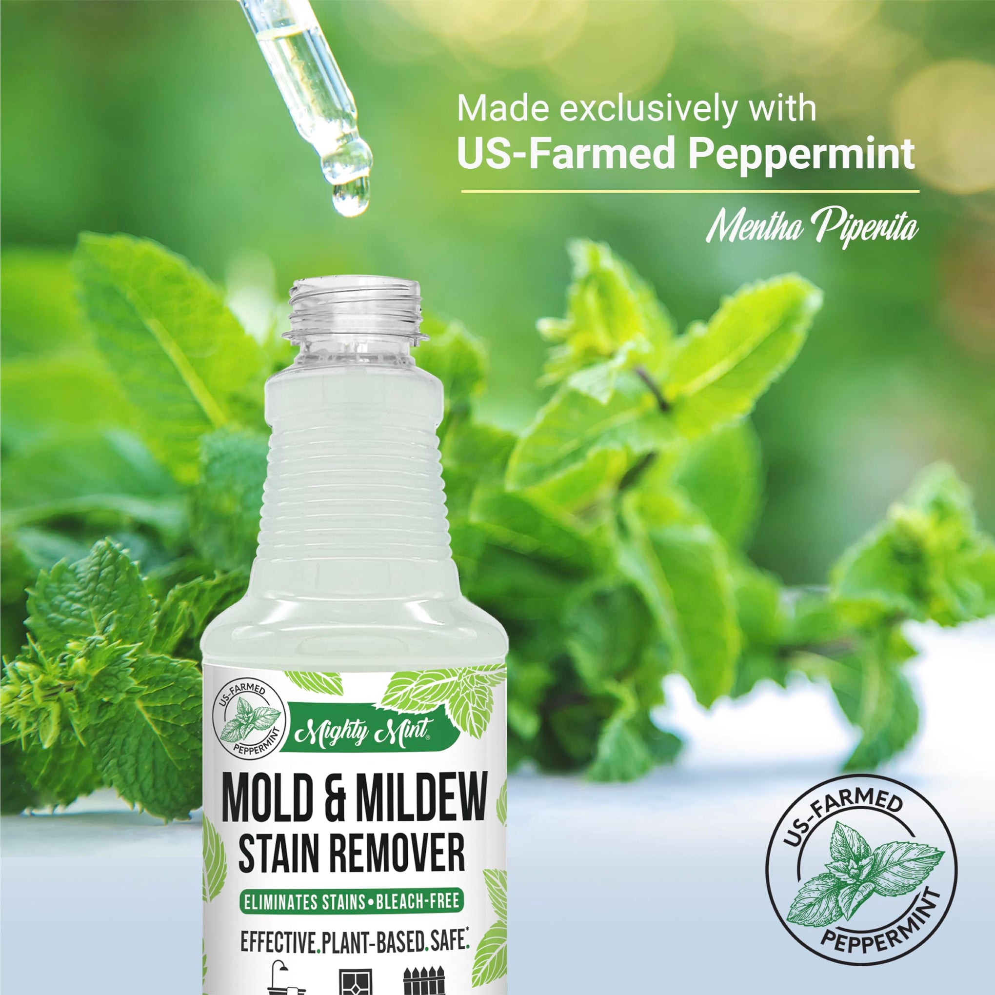 Mold & Mildew Stain Remover Spray (16 Fl Oz) - ModHome Supplies