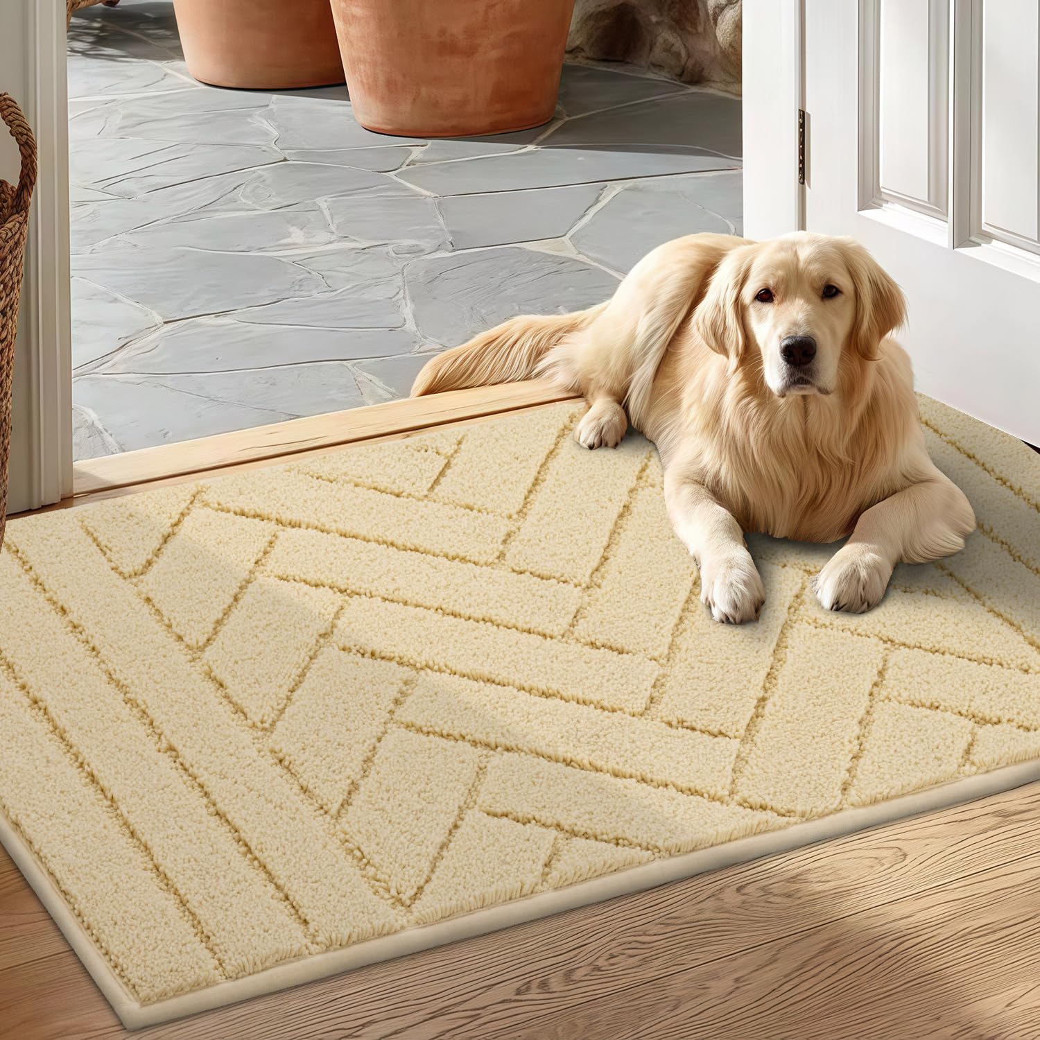 Indoor Doormat (4.3906 Sq Ft)