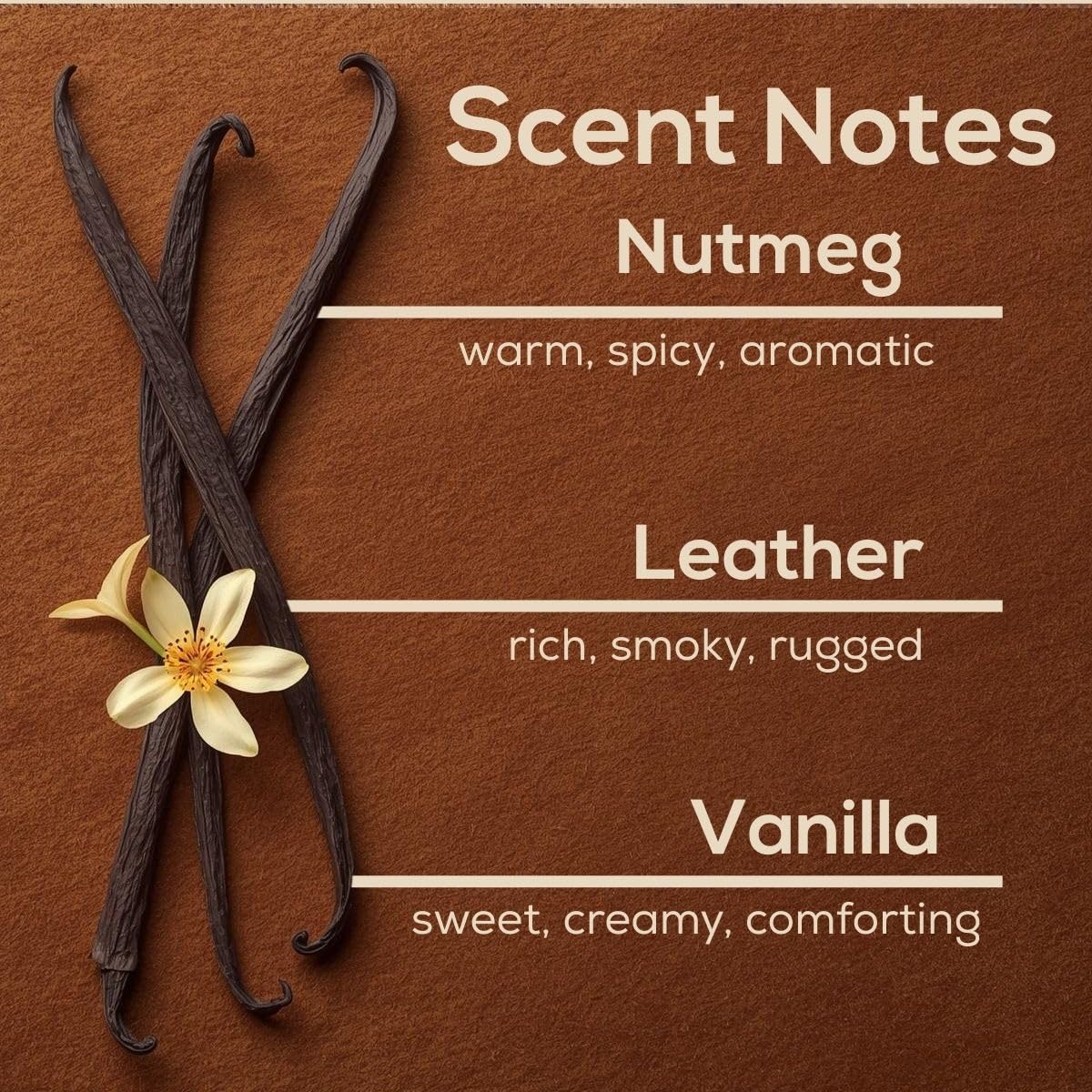 Vanilla Suede Plug in Air Freshener Refills (2.72 Fl Oz)
