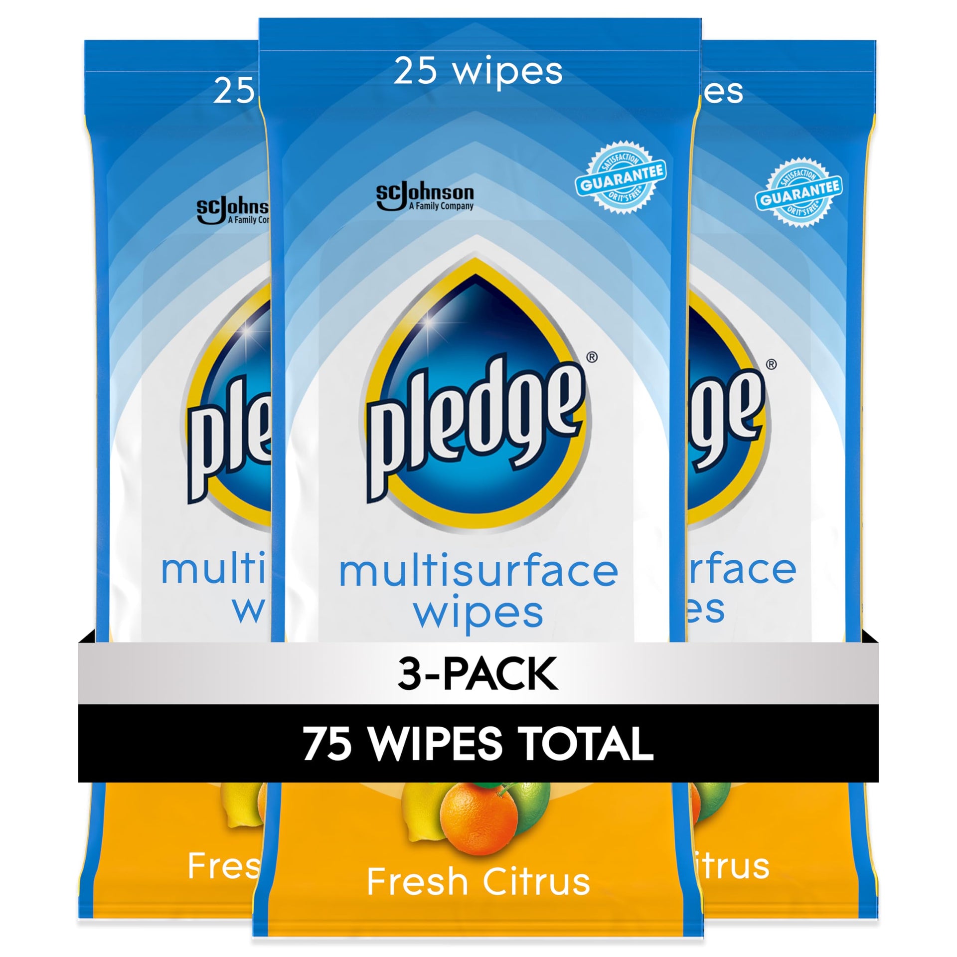 Multisurface Cleaning Wipes (3 Count)