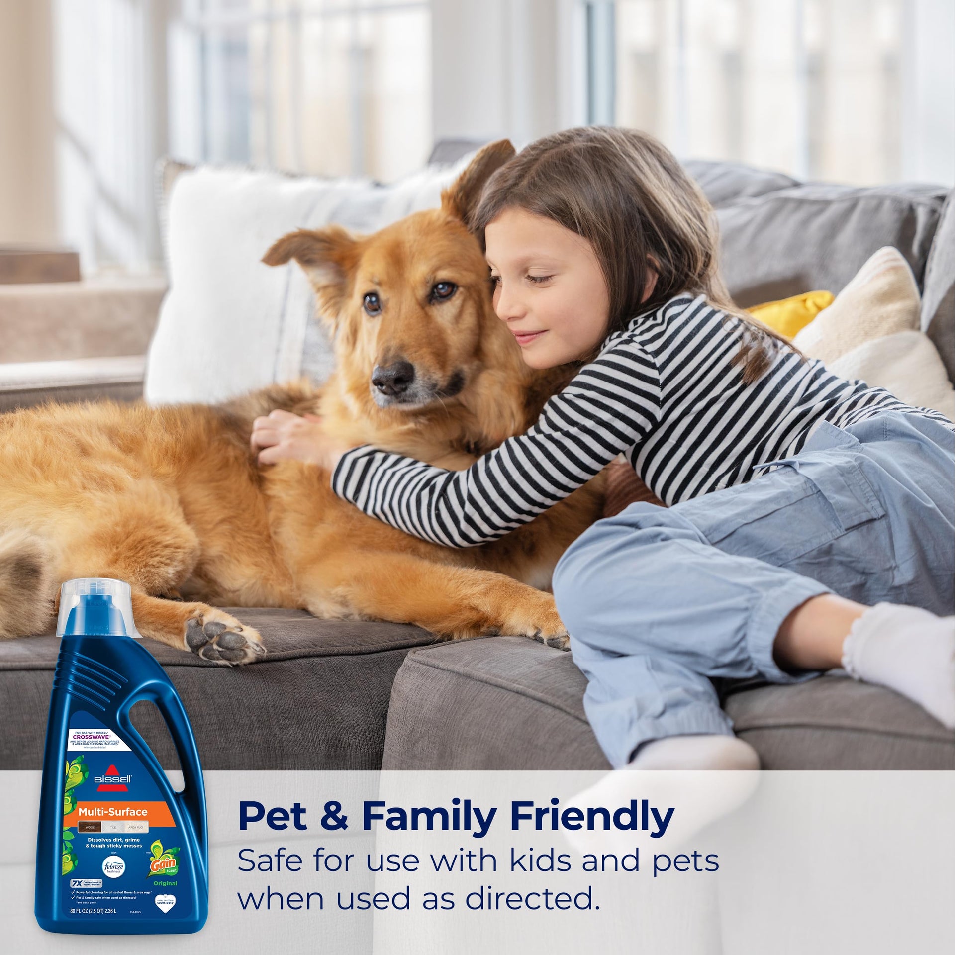 Multi Surface with Febreze + Gain (80 Fl Oz)