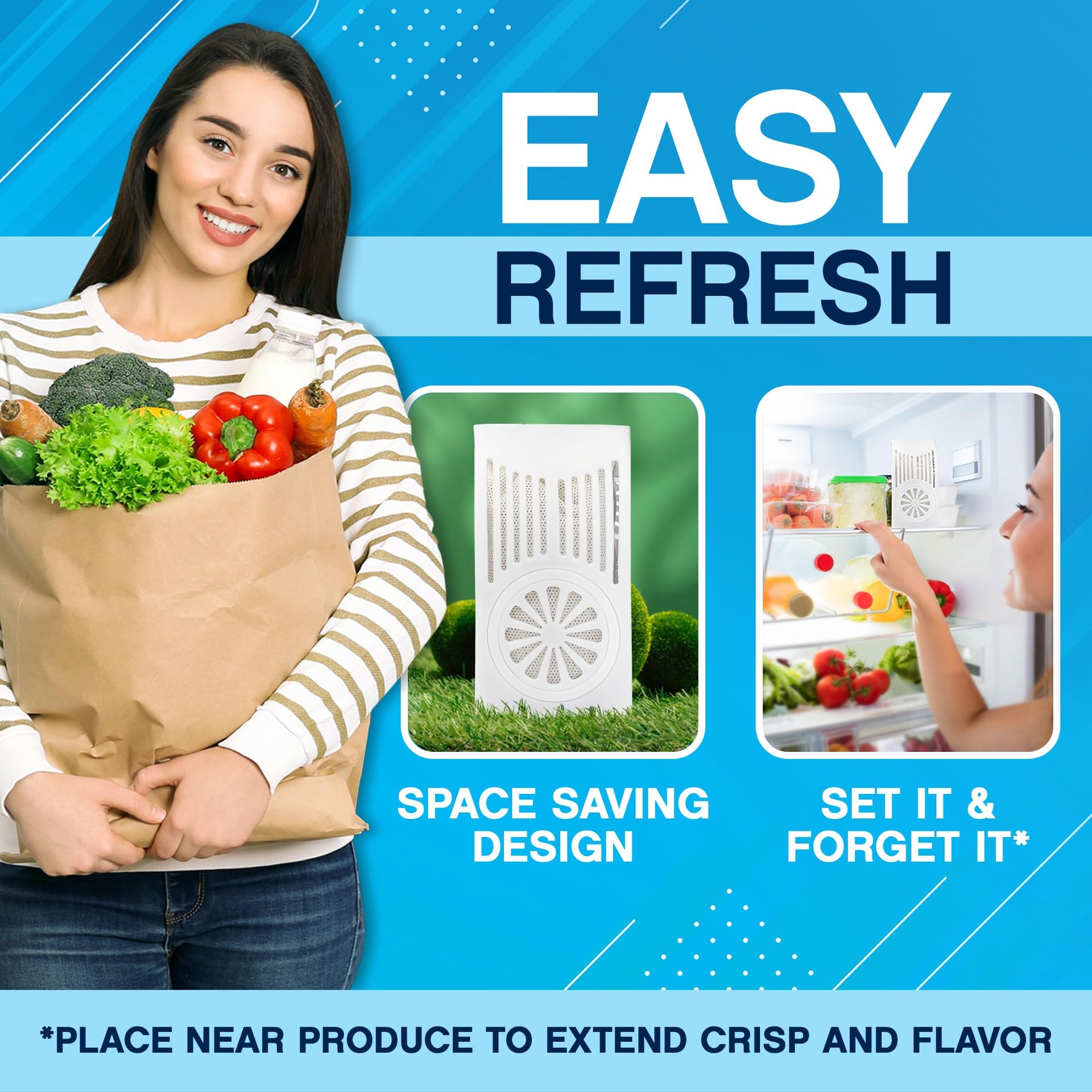 Refrigerator Deodorizer (2 Count)