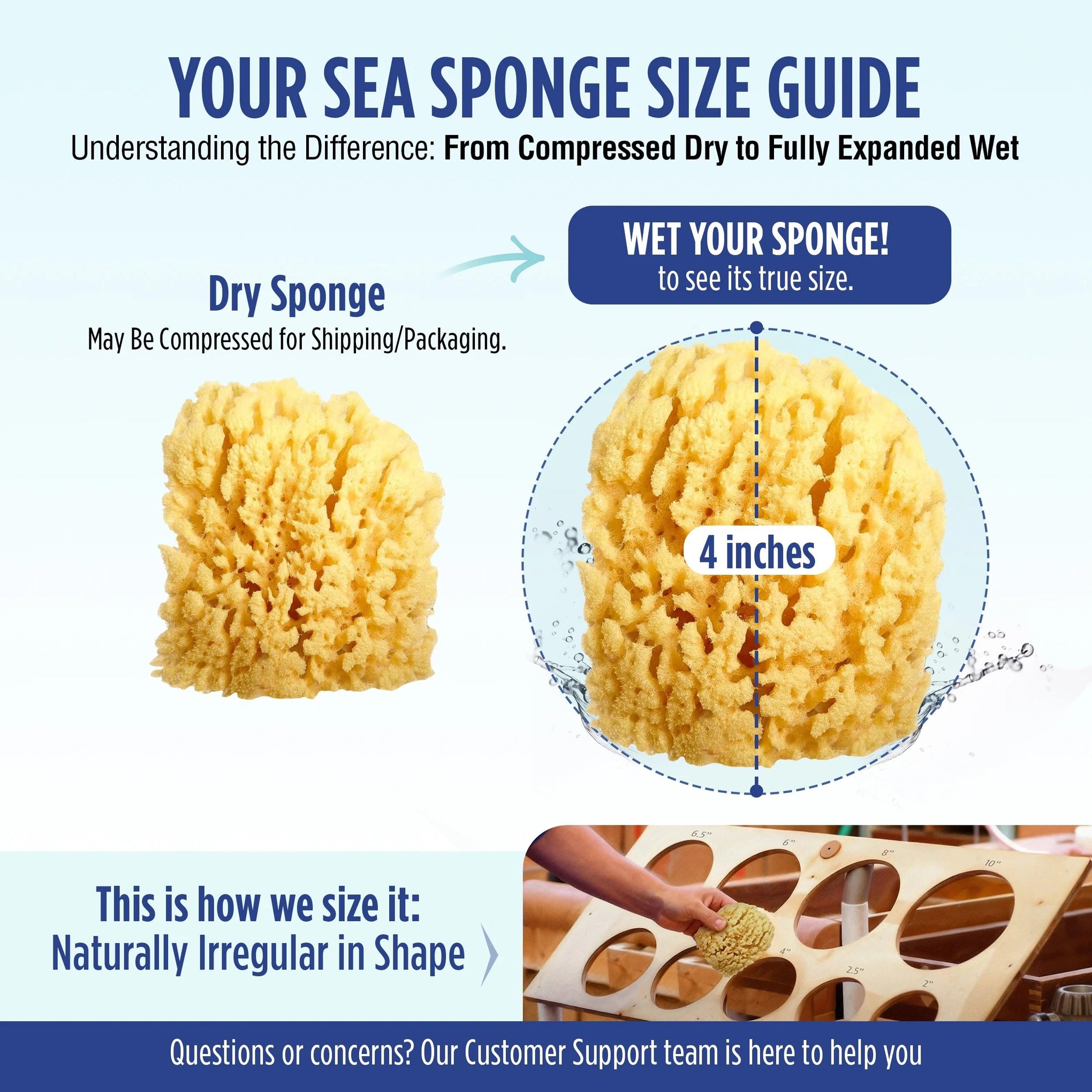 Natural Baby Bath Sponge 4in Soft Grass Sea Sponge Soft on Baby's Tender Skin