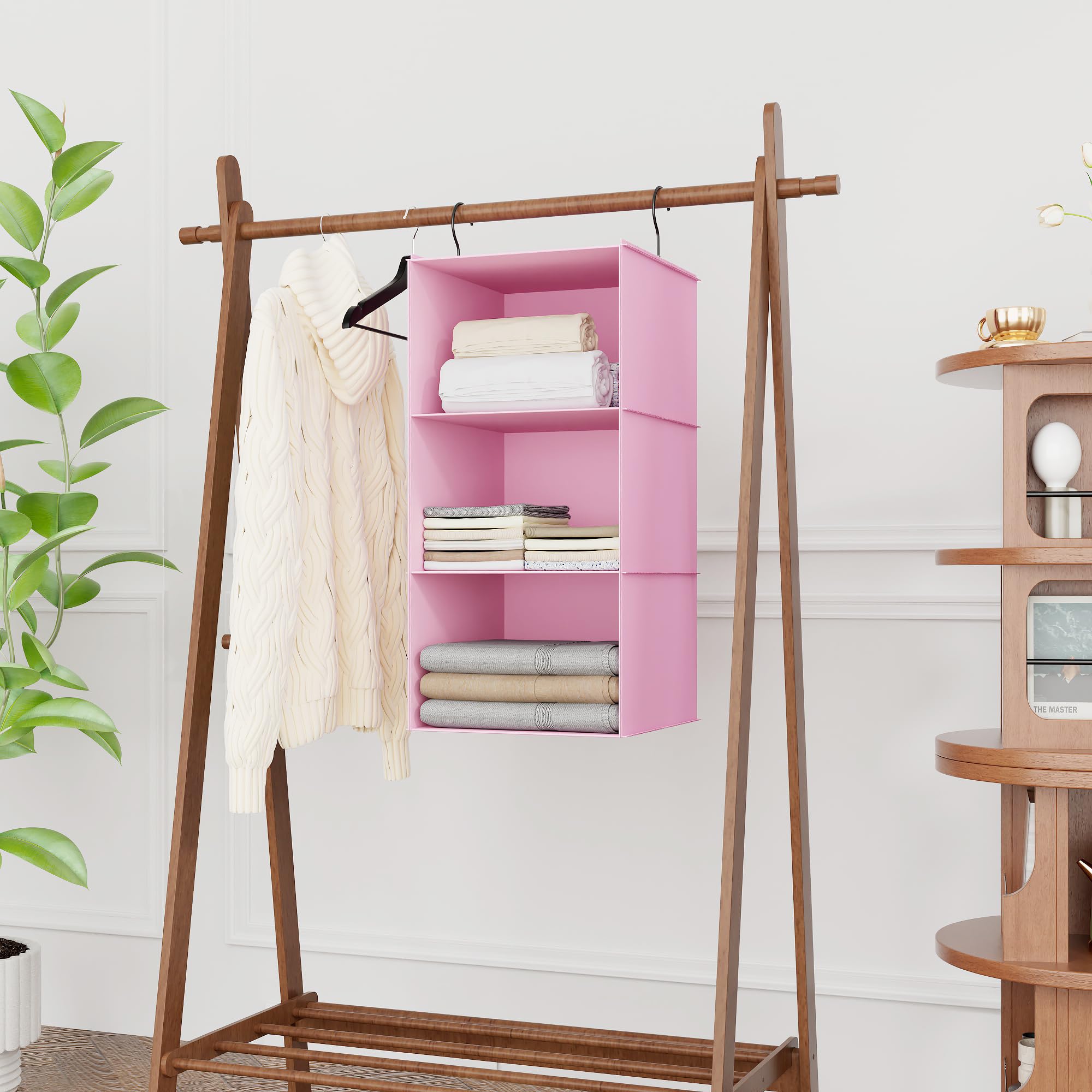Hanging Closet Organizer 3