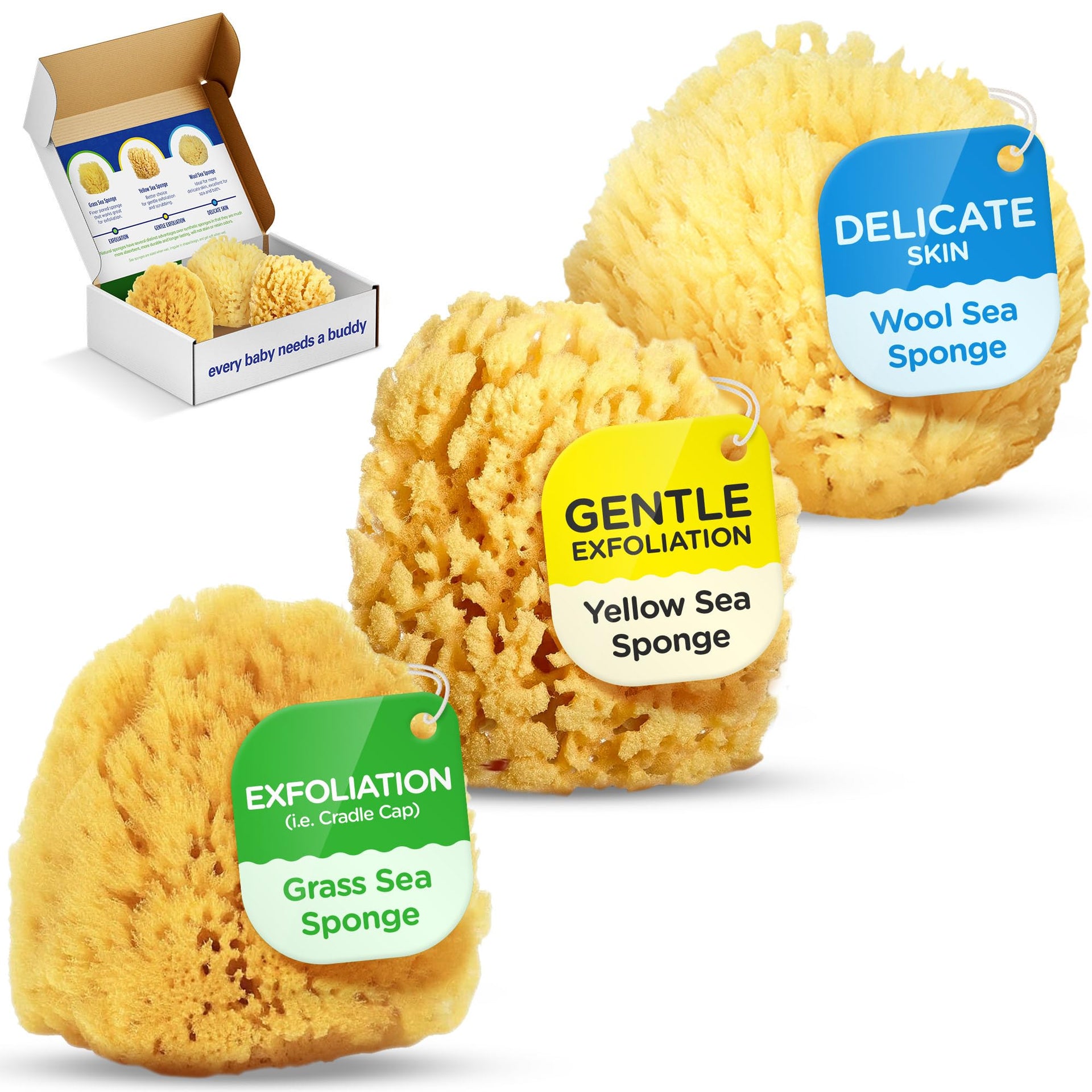 Baby Bath 4in Assorted Sea Sponges (3 Count)