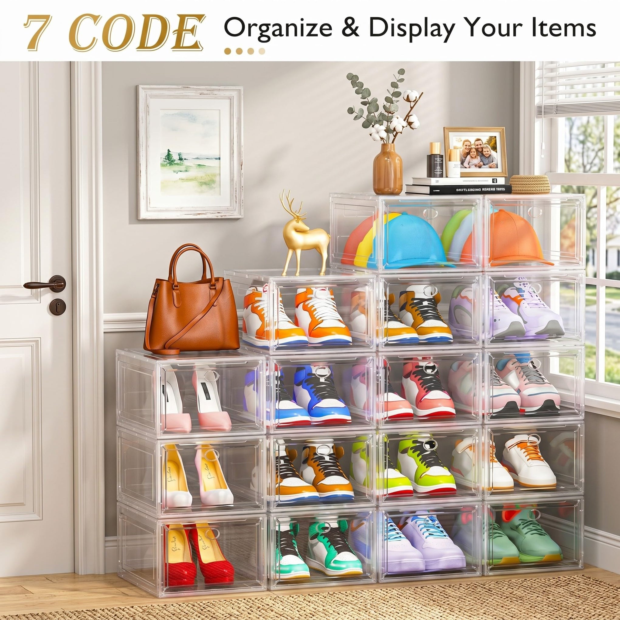 Sturdy Clear Shoe Organizer with Magnetic Door (6 Count)