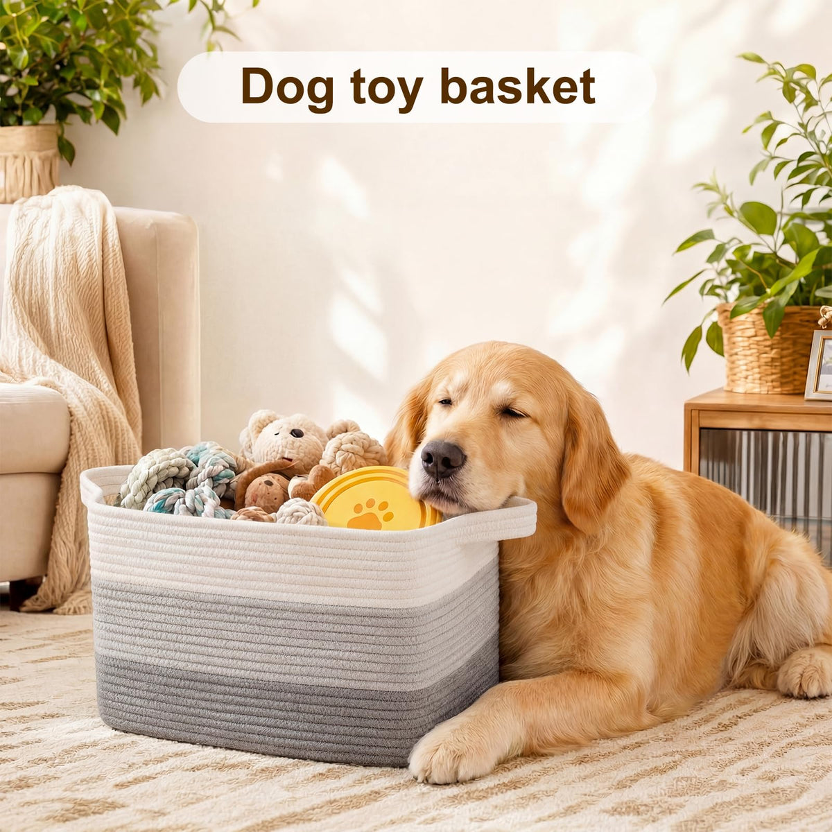 Storage Basket
