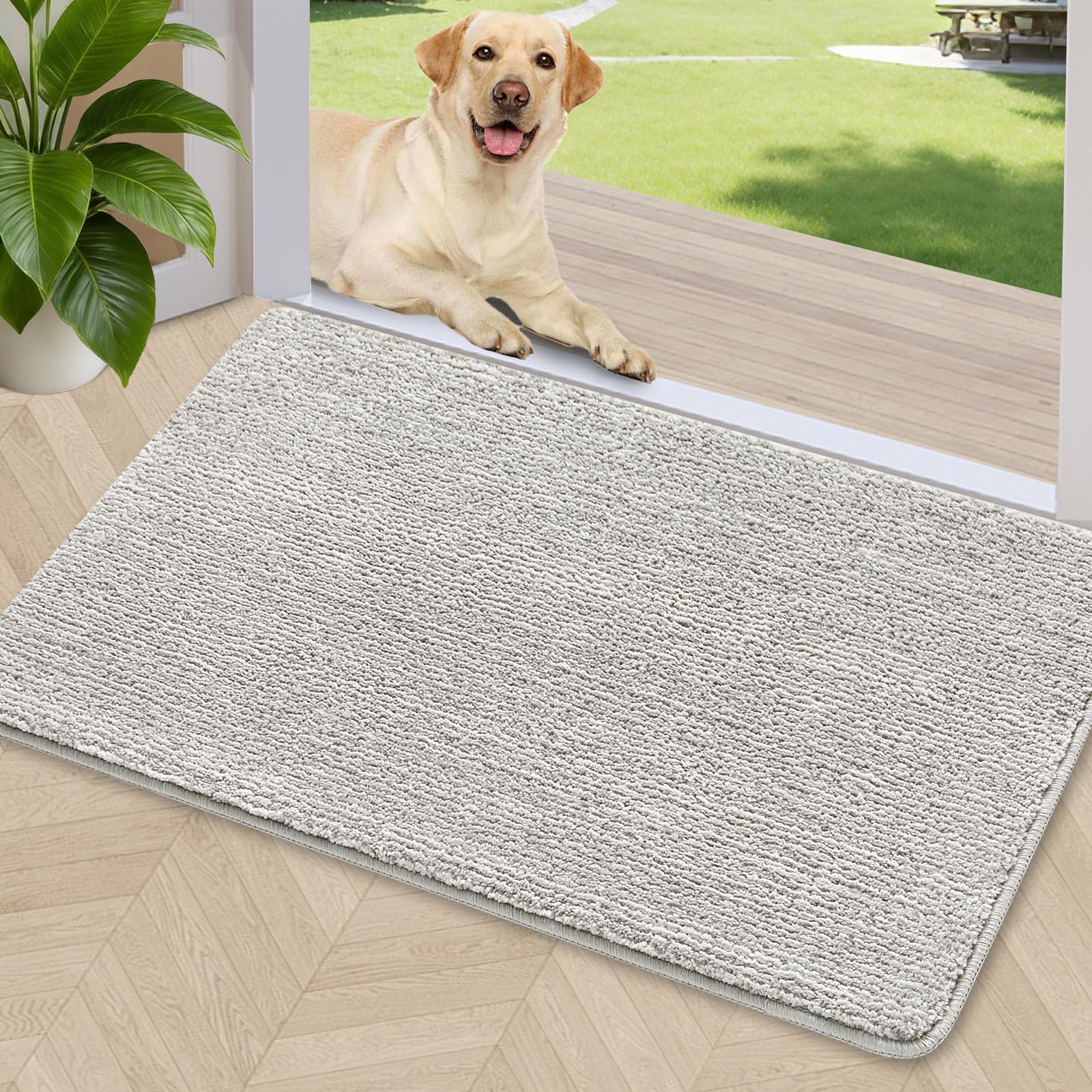 Dirt Trapper Door Mat 24