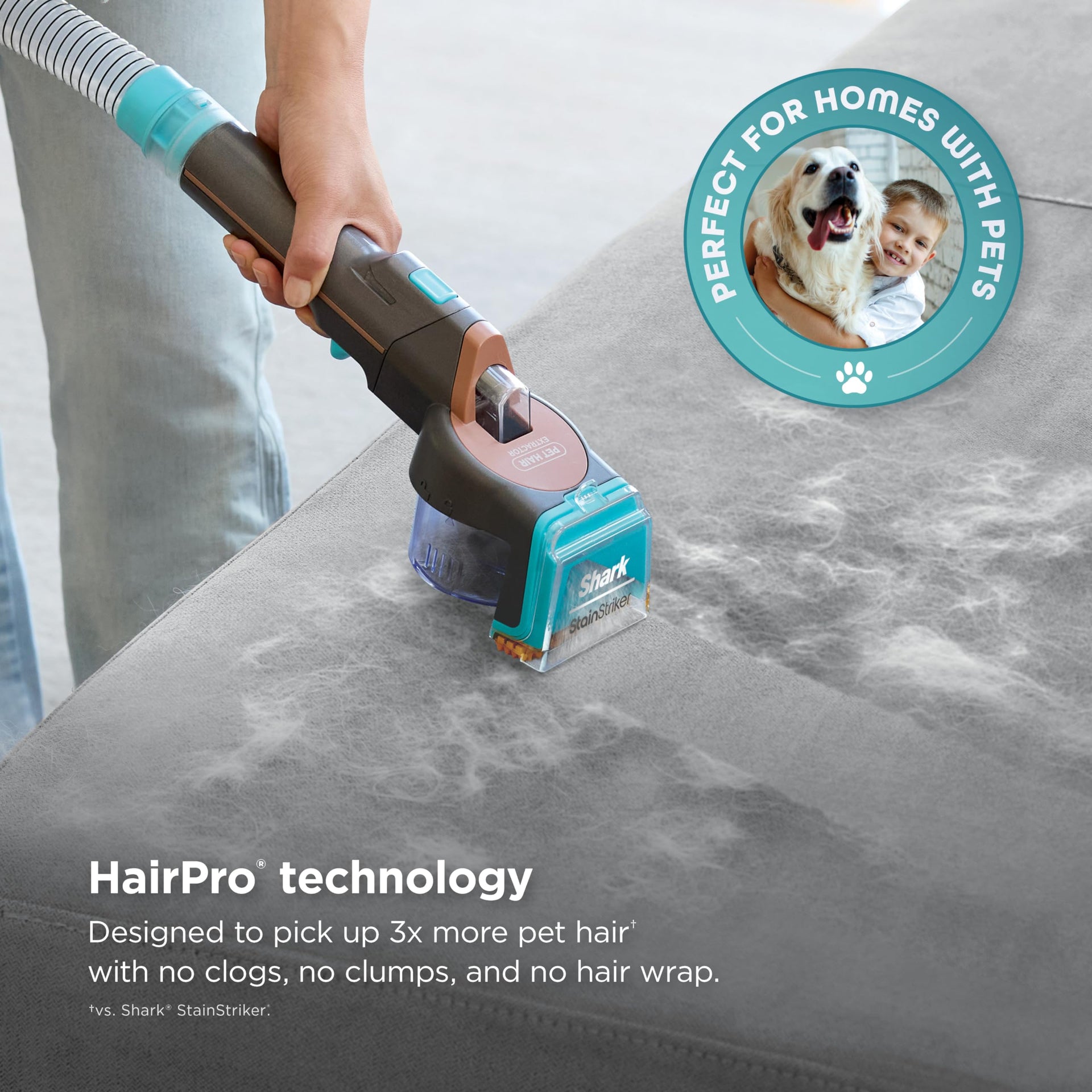 StainStriker HairPro Portable Stain Cleaner
