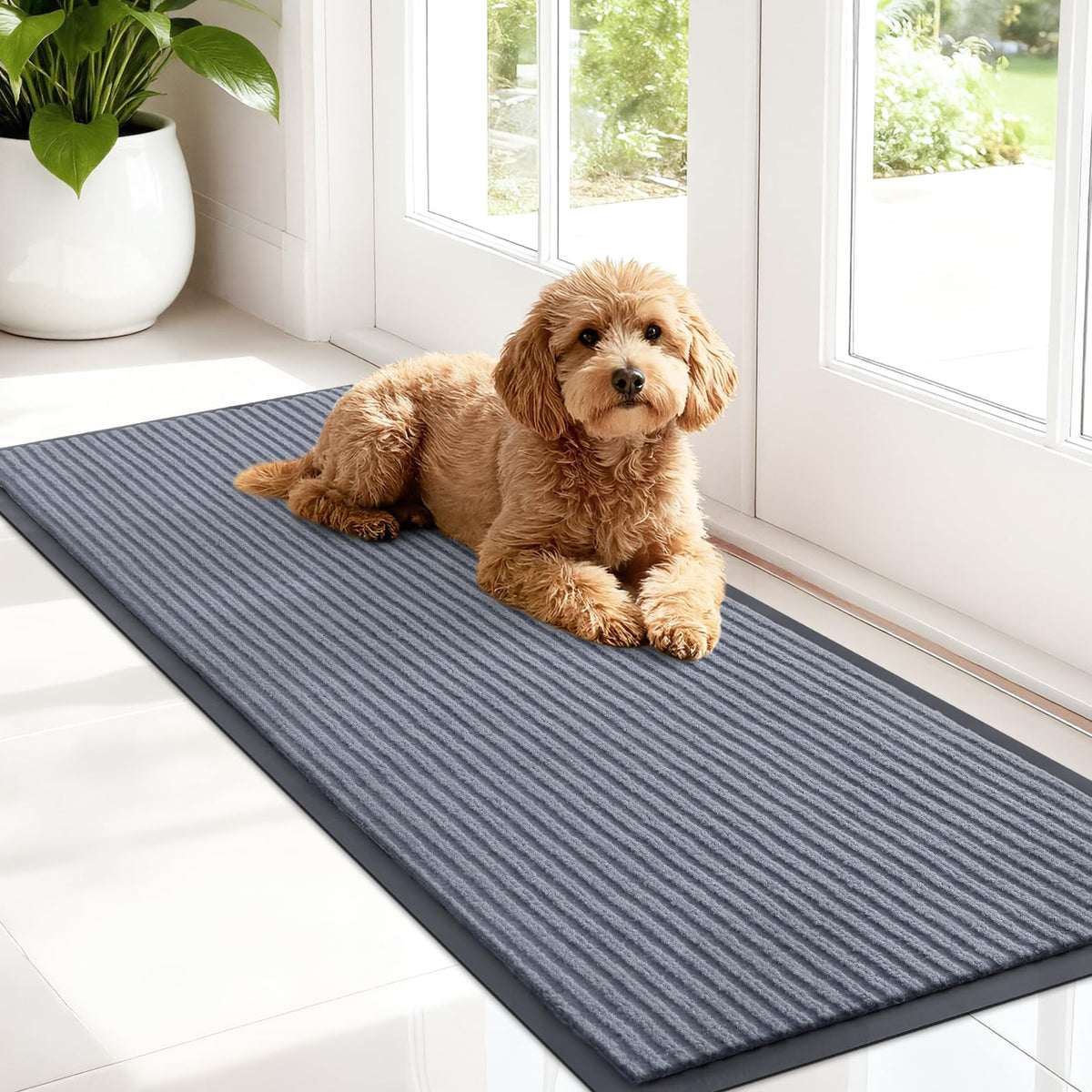 Front Door Mat 47x17
