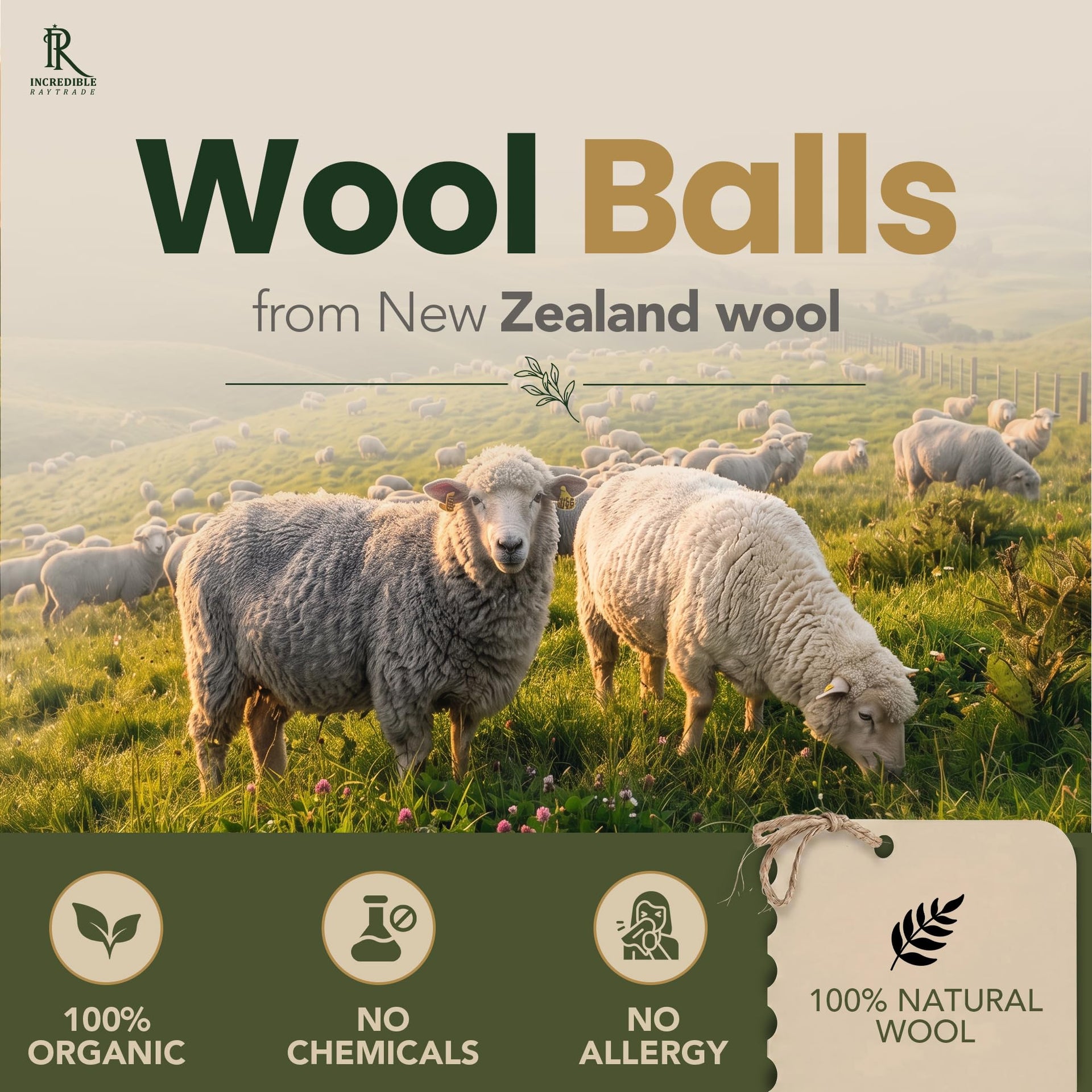 RAYTRADE Wool Dryer Balls 6 (6 Count)