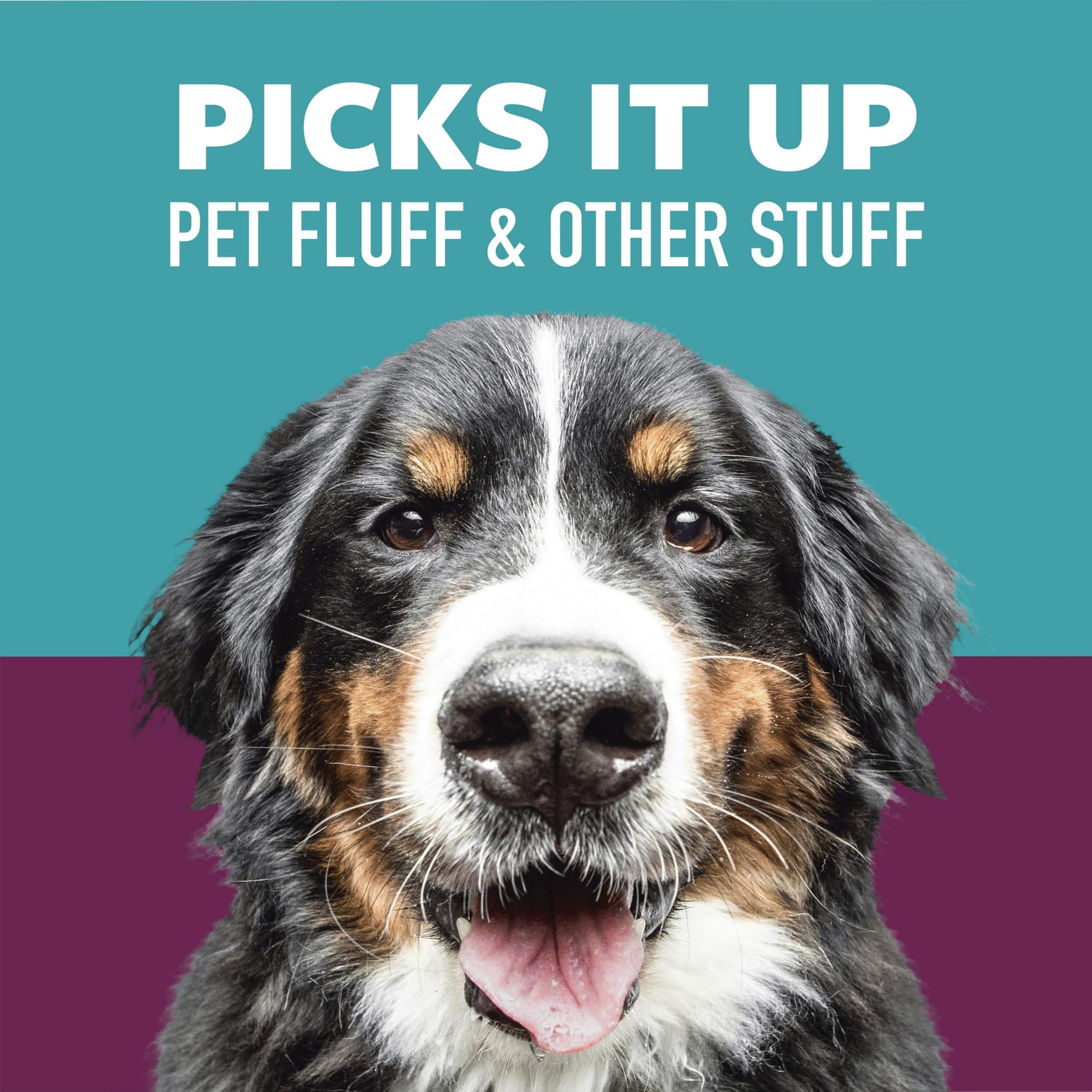 Pet Extra Sticky Hair Lint Roller (6 Count)