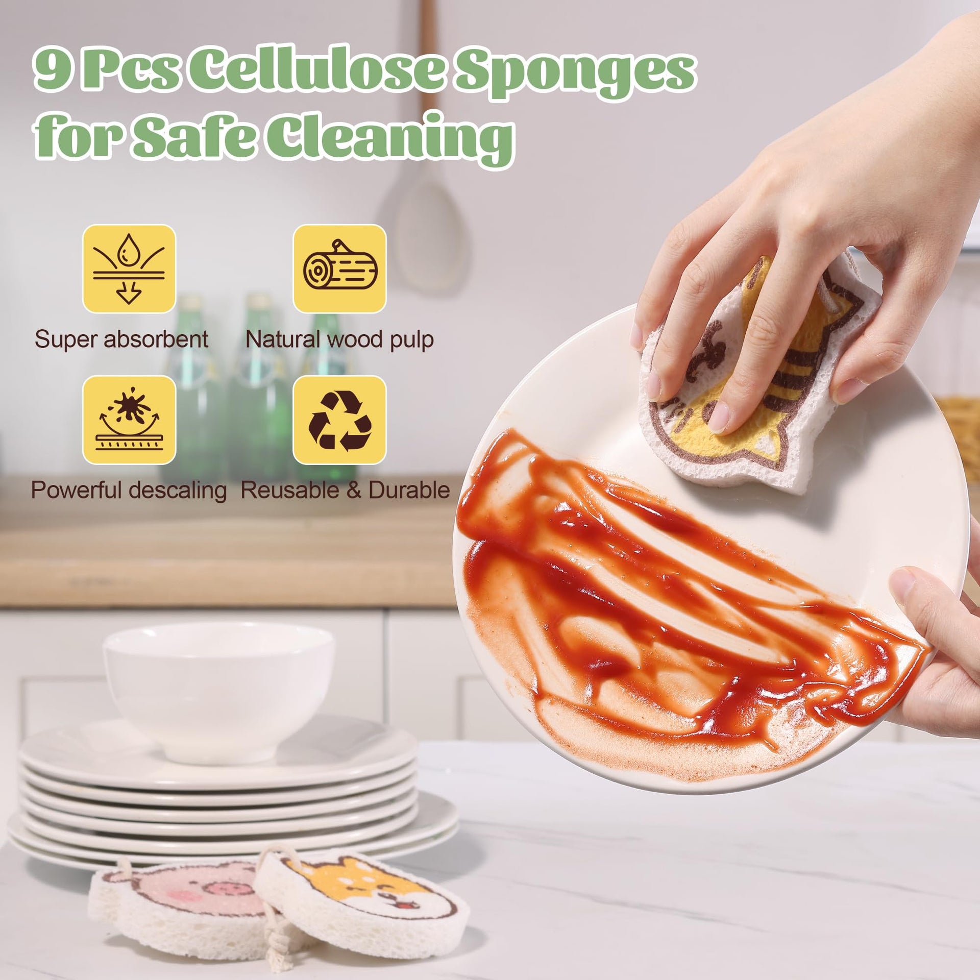 Cartoon Kitchen Sponge (9 Count)