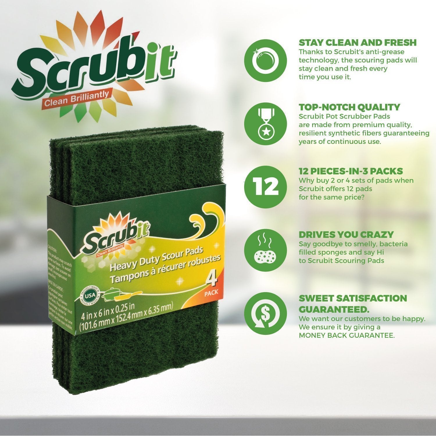 Scouring Pads (4 Count)
