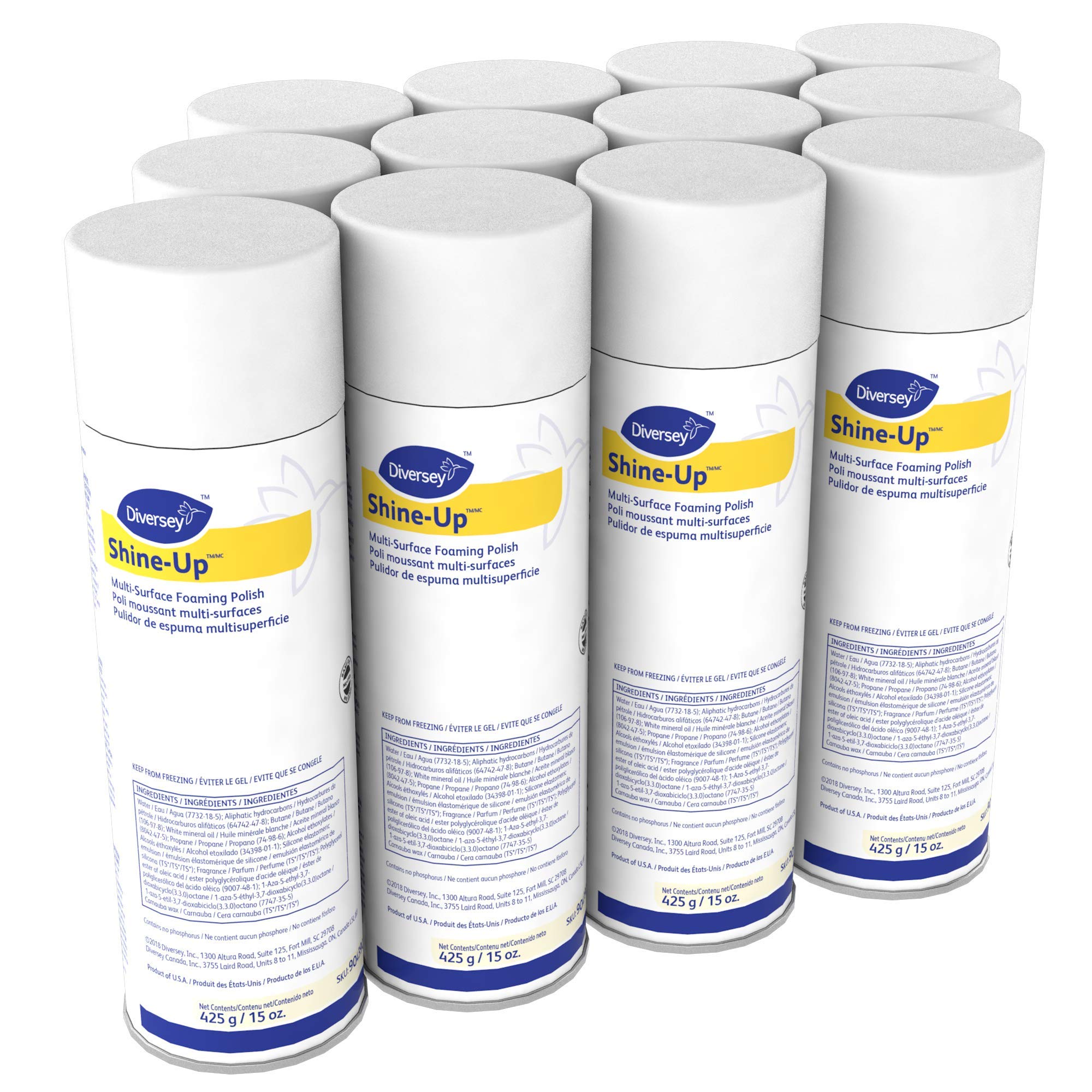 Shine Up Multi (180 Fl Oz)