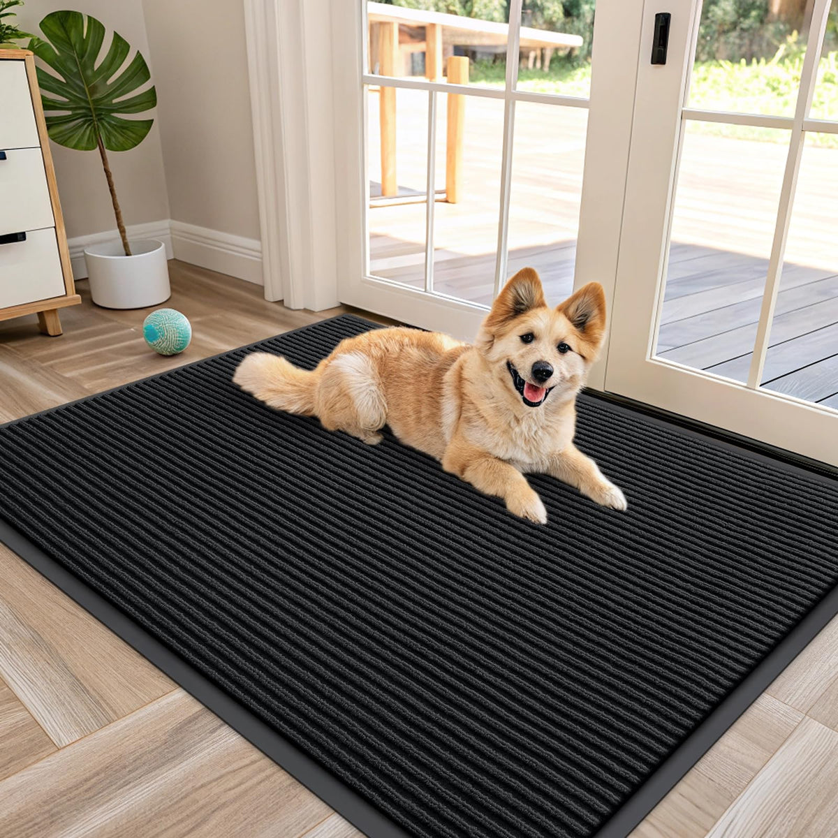 Front Door Mat 47x34