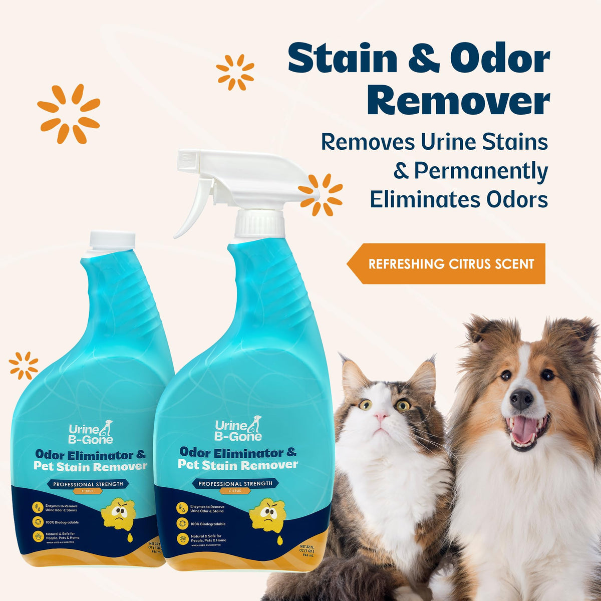 Urine B Gone Enzyme Cleaner for Human & Pet Urine (64 Fl Oz)