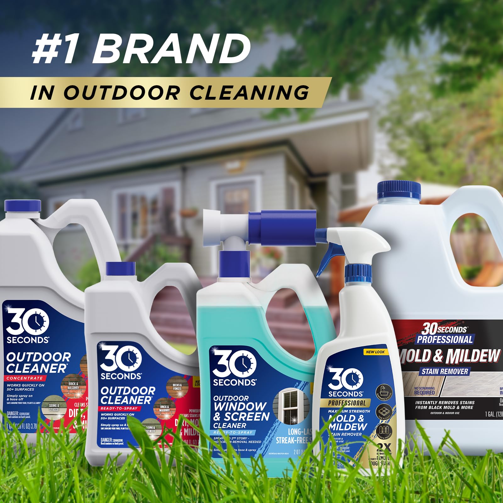 Pro Mold & Mildew Stain Remover (64 Fl Oz)