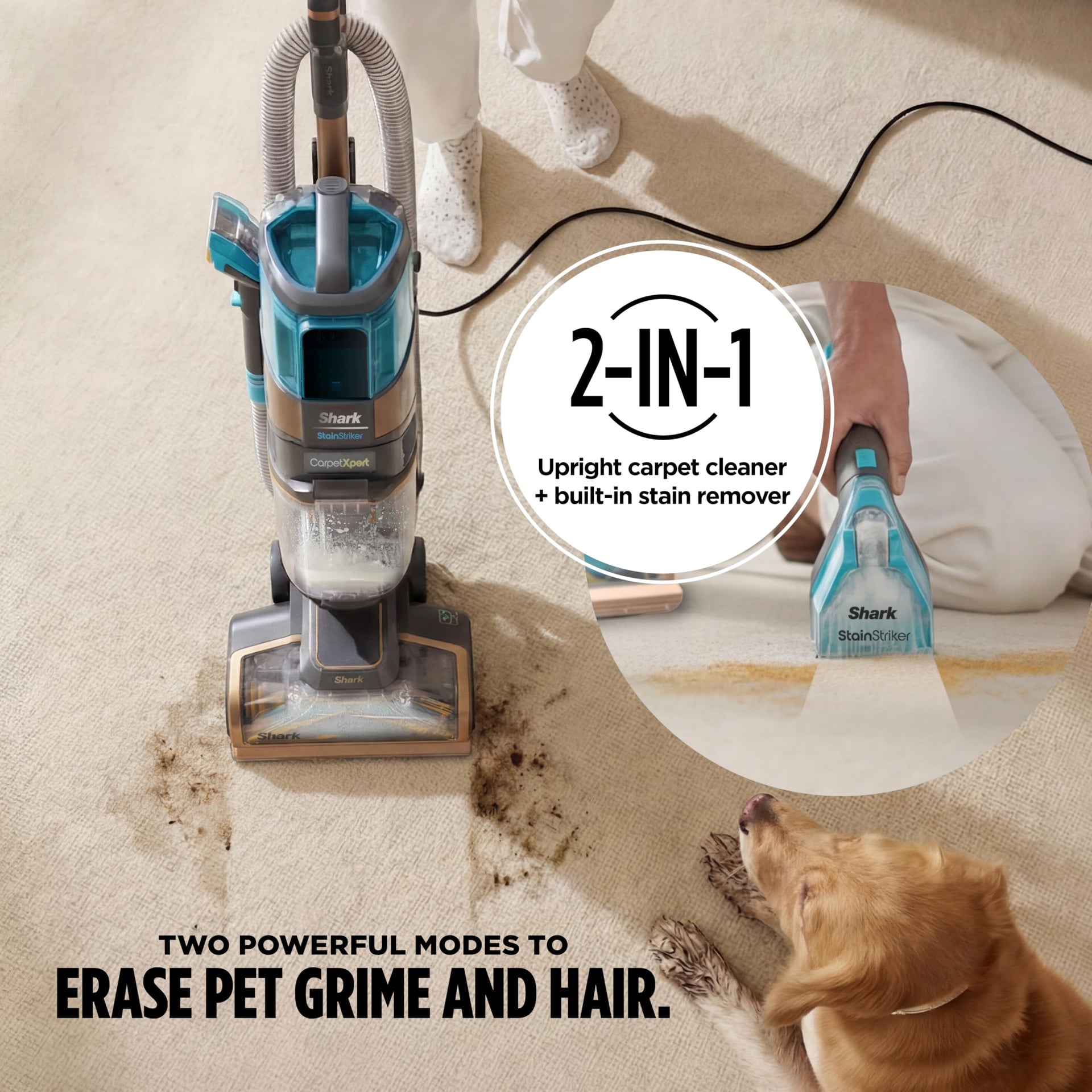 CarpetXpert HairPro StainStriker Carpet & Stain Cleaner