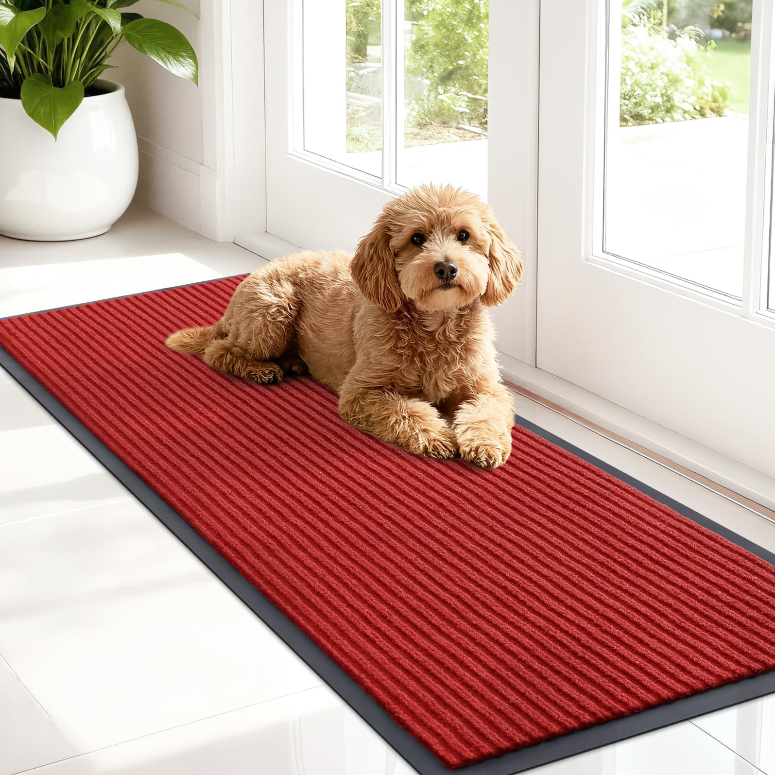 Front Door Mat 47x17