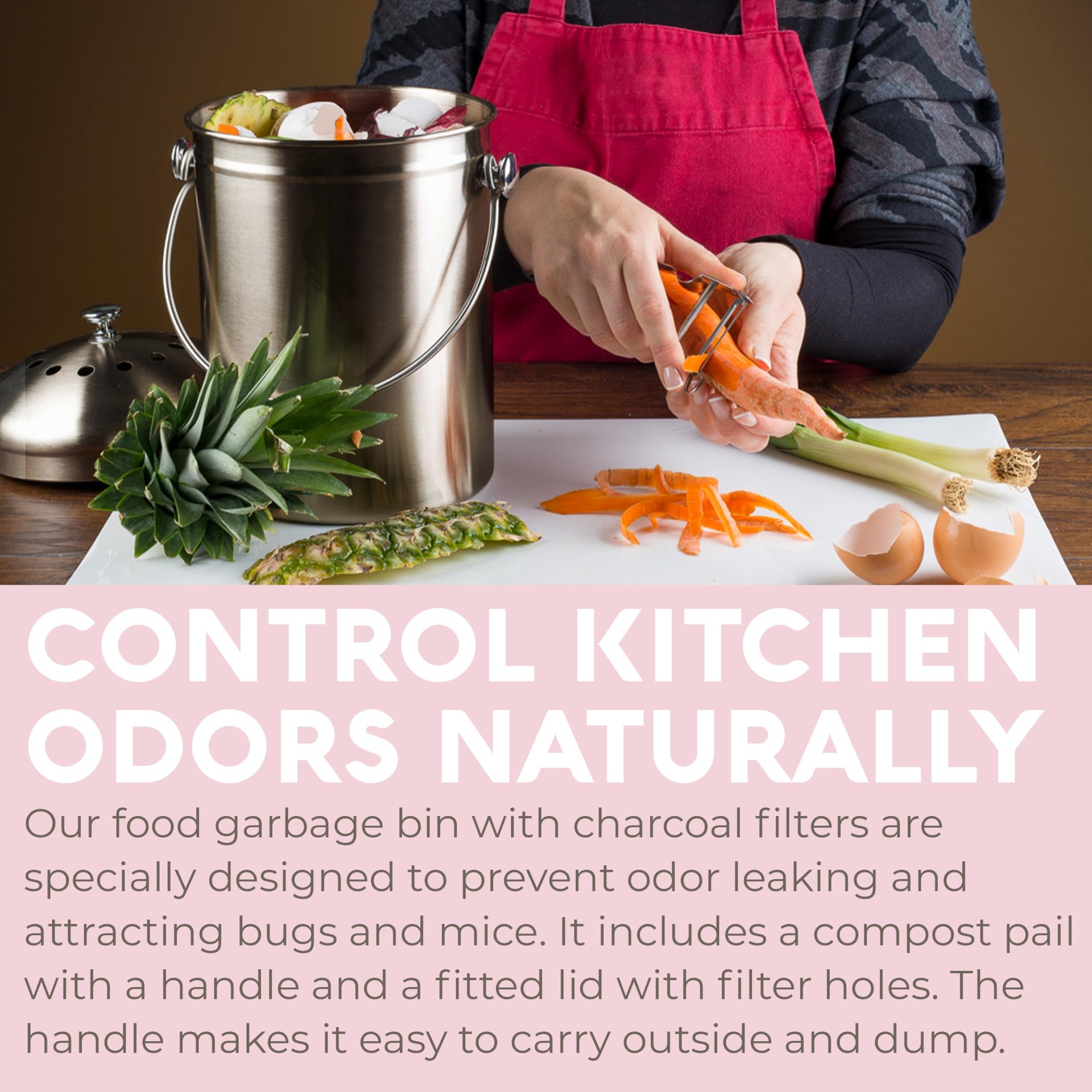 Countertop Compost Bin Kitchen