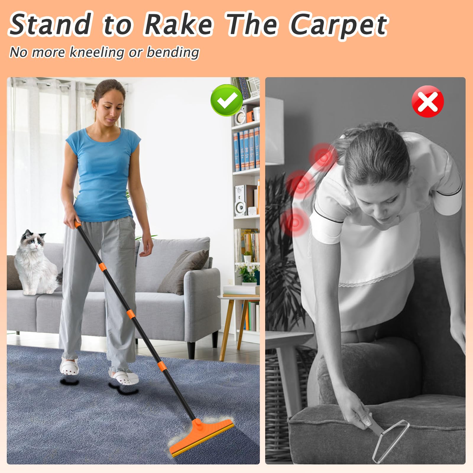 Carpet Rake for Pet Hair Removal Tool - ModHome Supplies