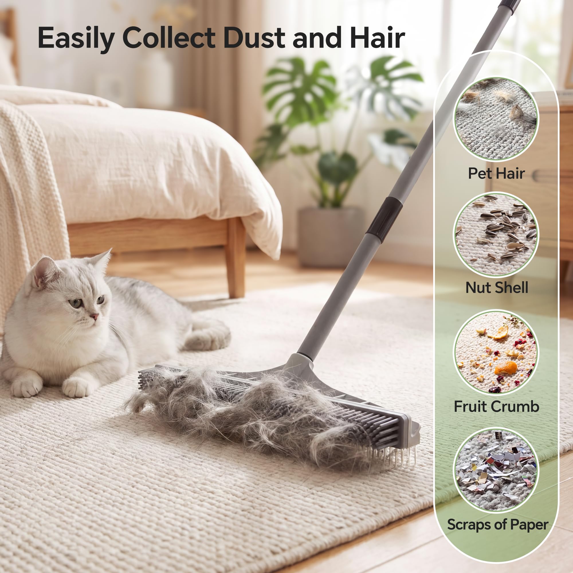 Carpet Brush for Pet Hair Removal