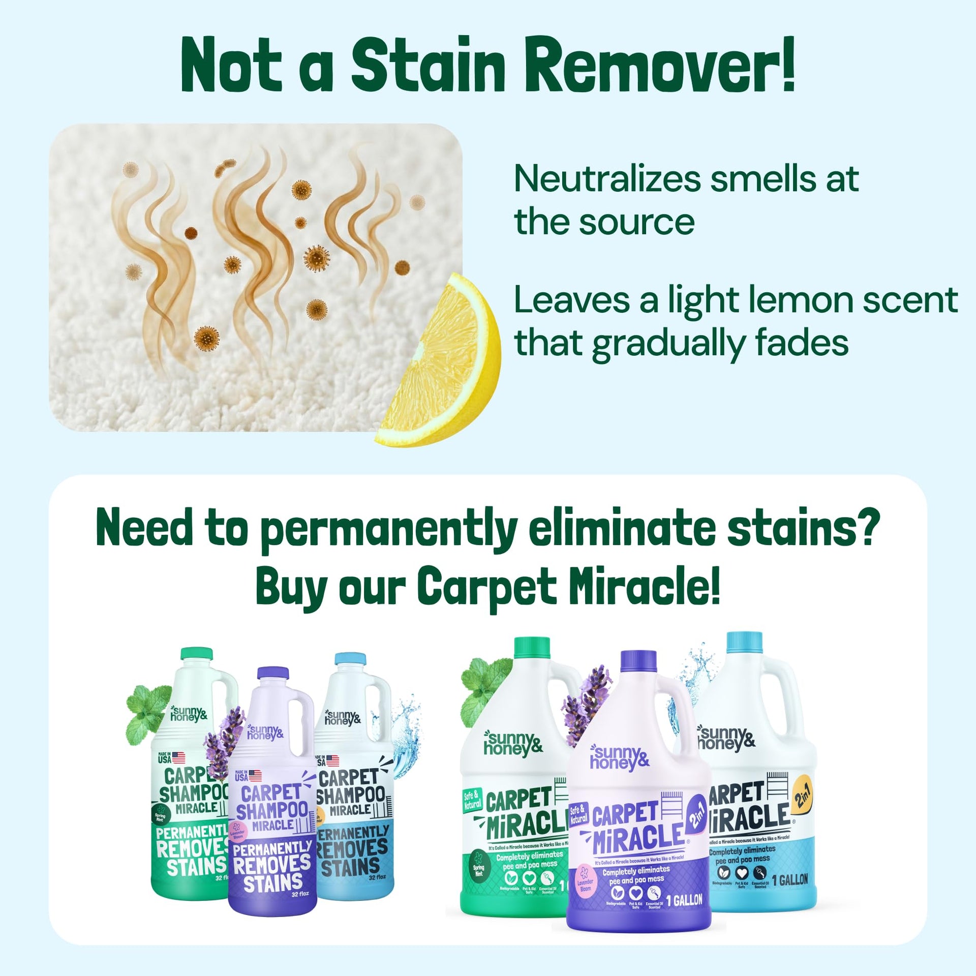 Carpet Deodorizer Powder (20 Ounce)
