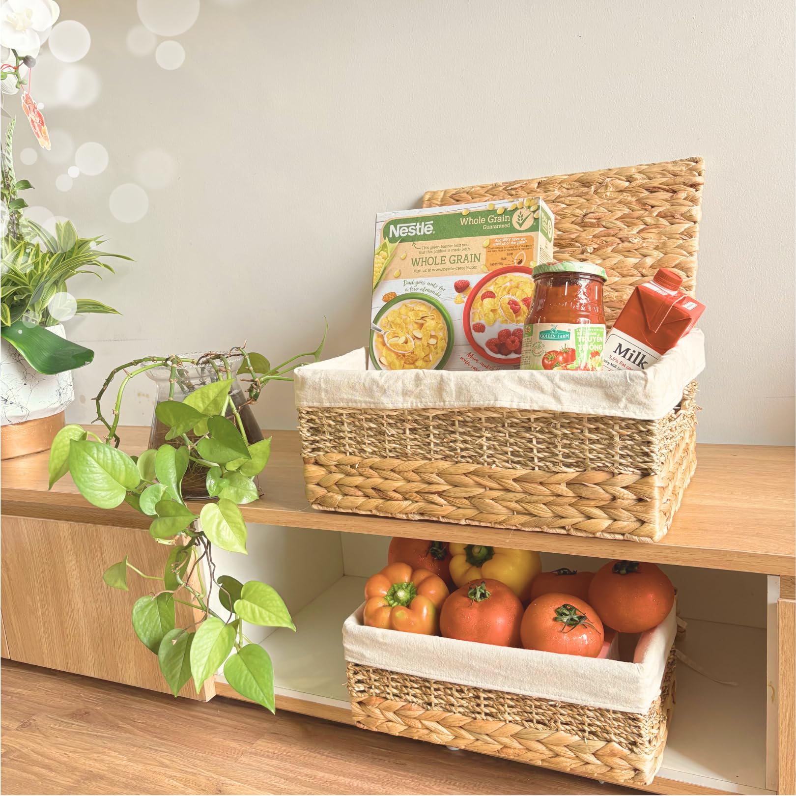 Wicker Storage Baskets with Lid and Lining (2 Count)