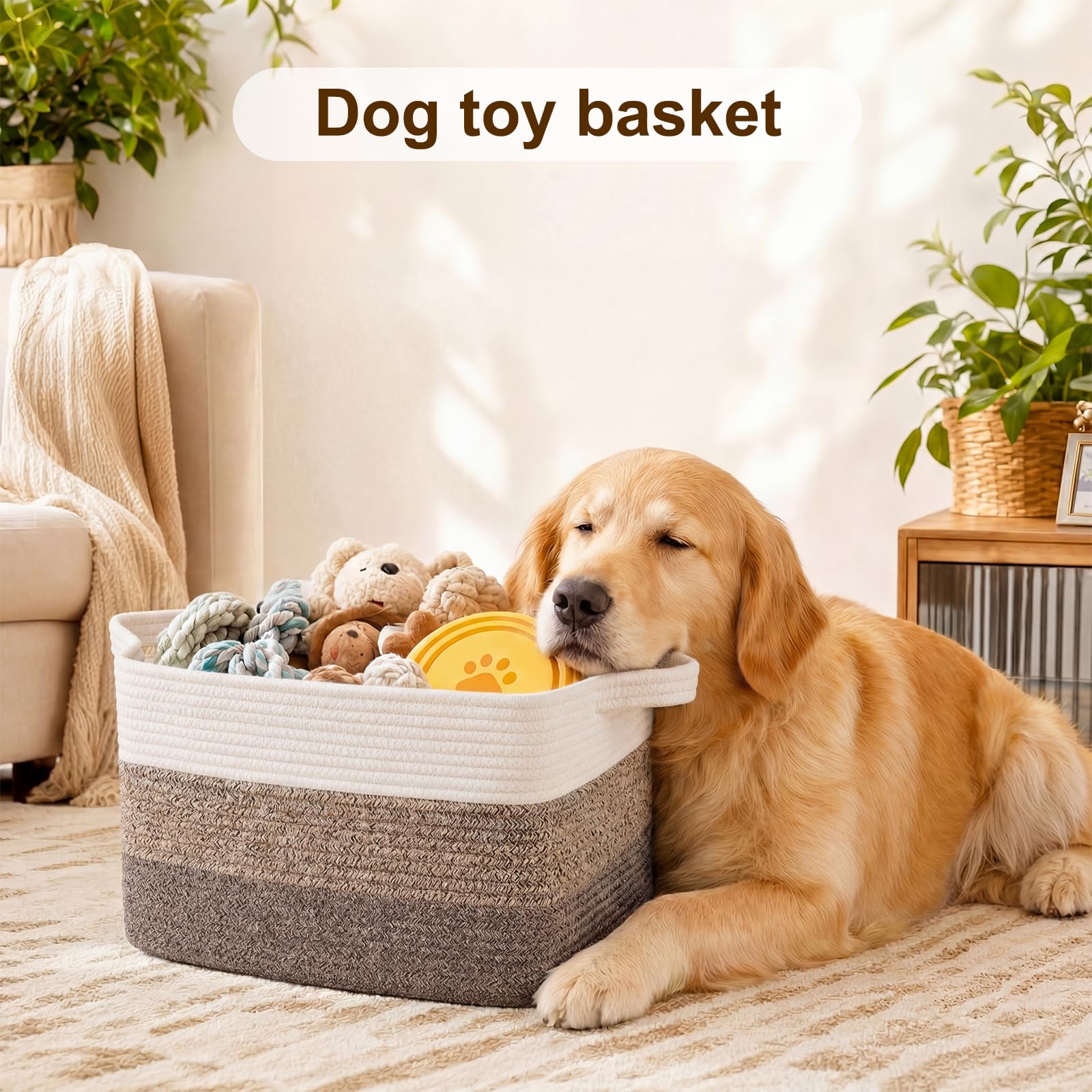 Storage Basket