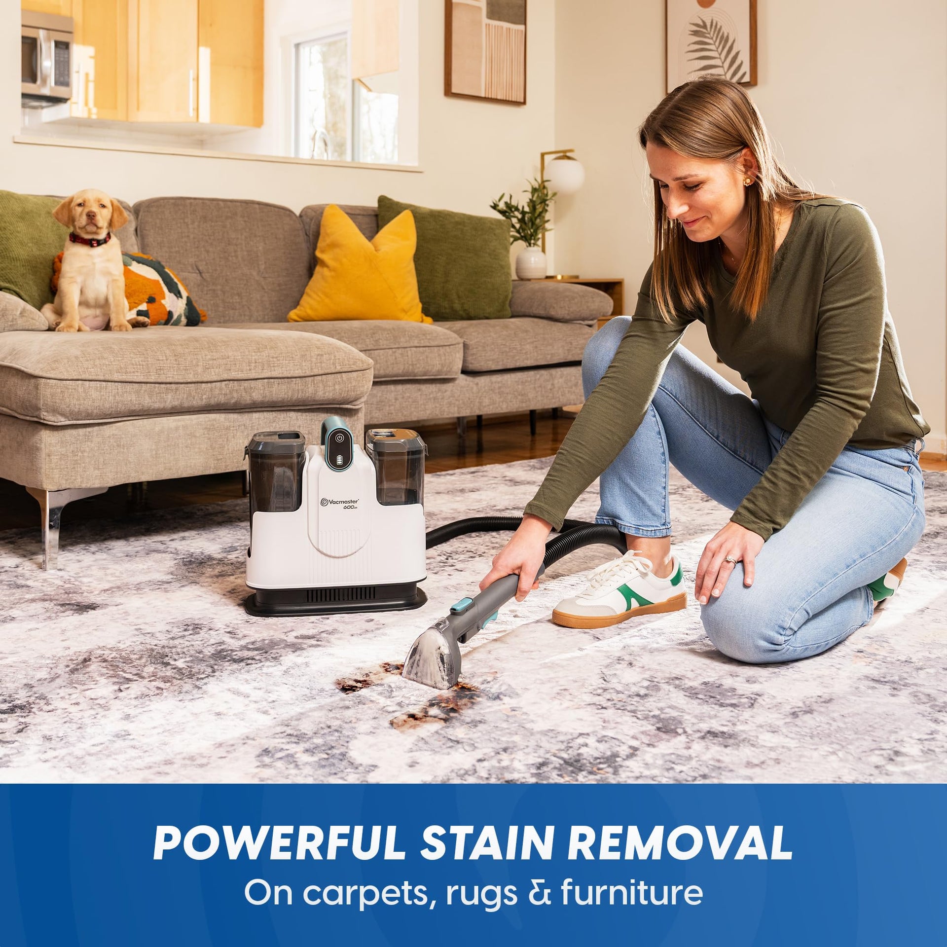 600 Series Cordless Portable Carpet & Upholstery Cleaner Machine