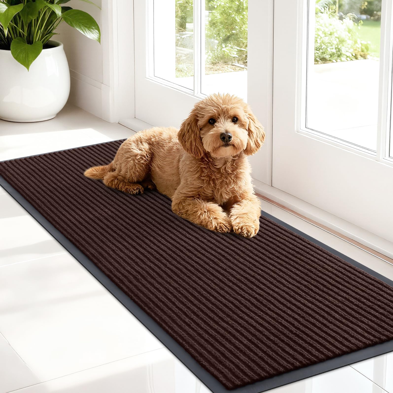 Front Door Mat 47x17