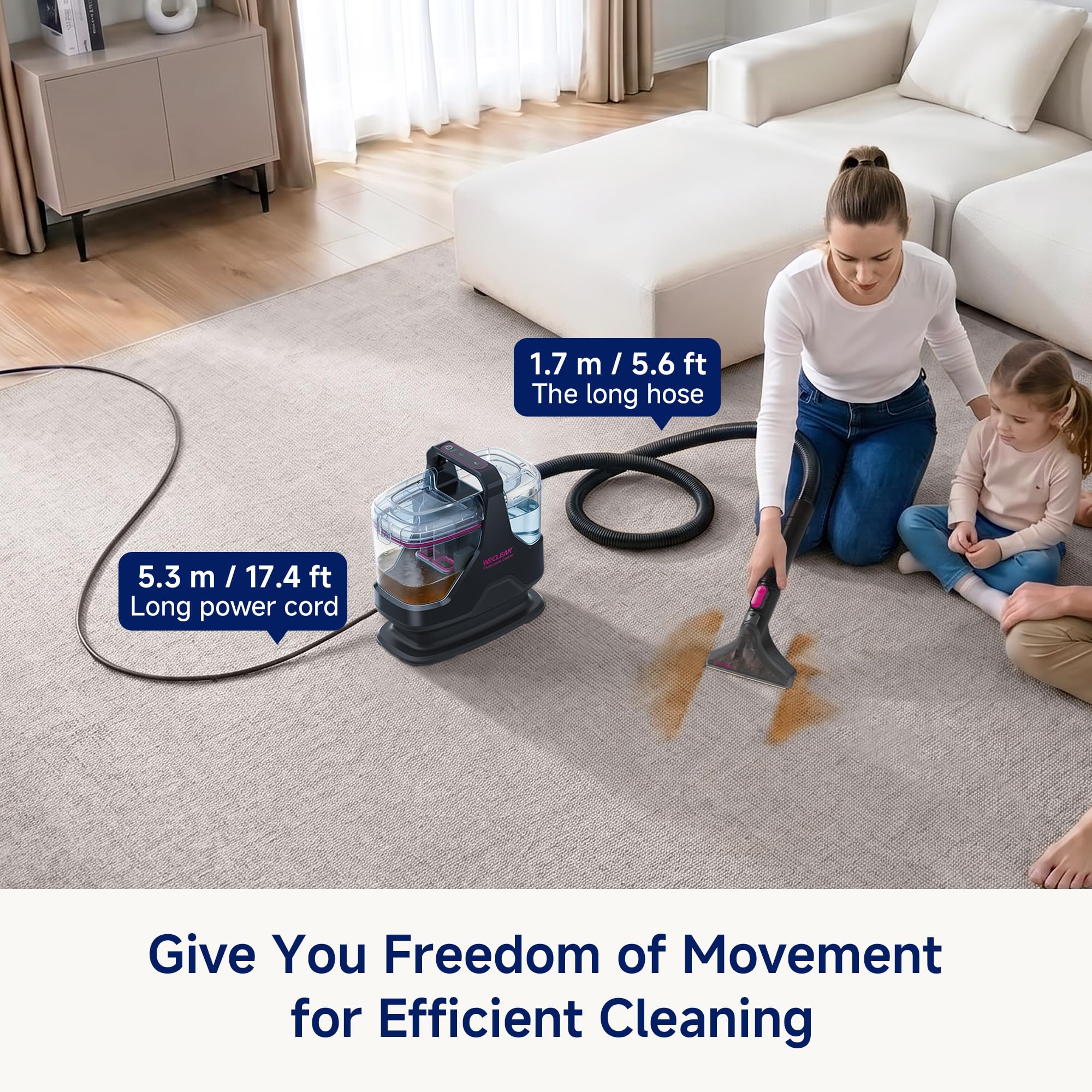 Portable Carpet Cleaner