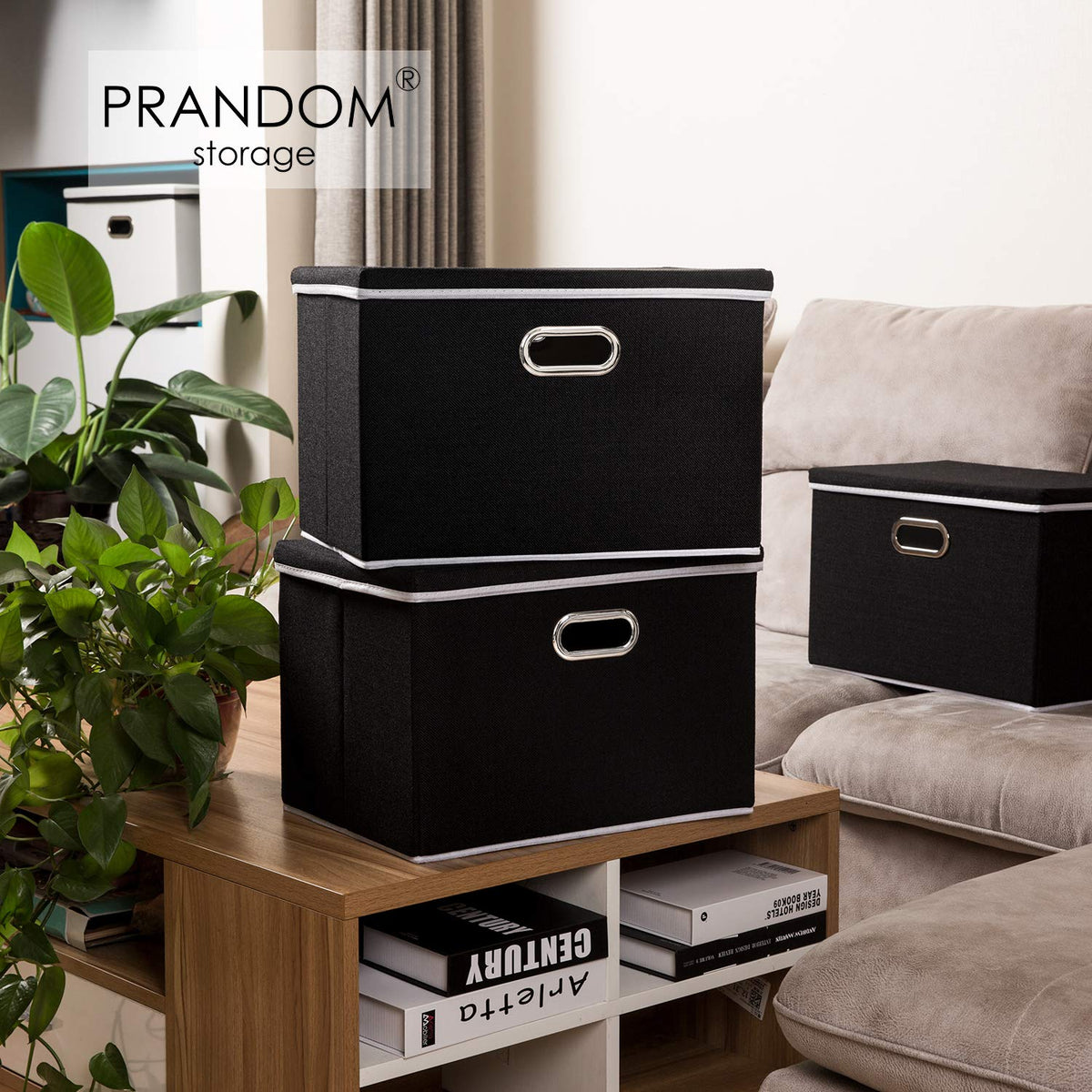 Large Foldable Storage Box with Lid [1
