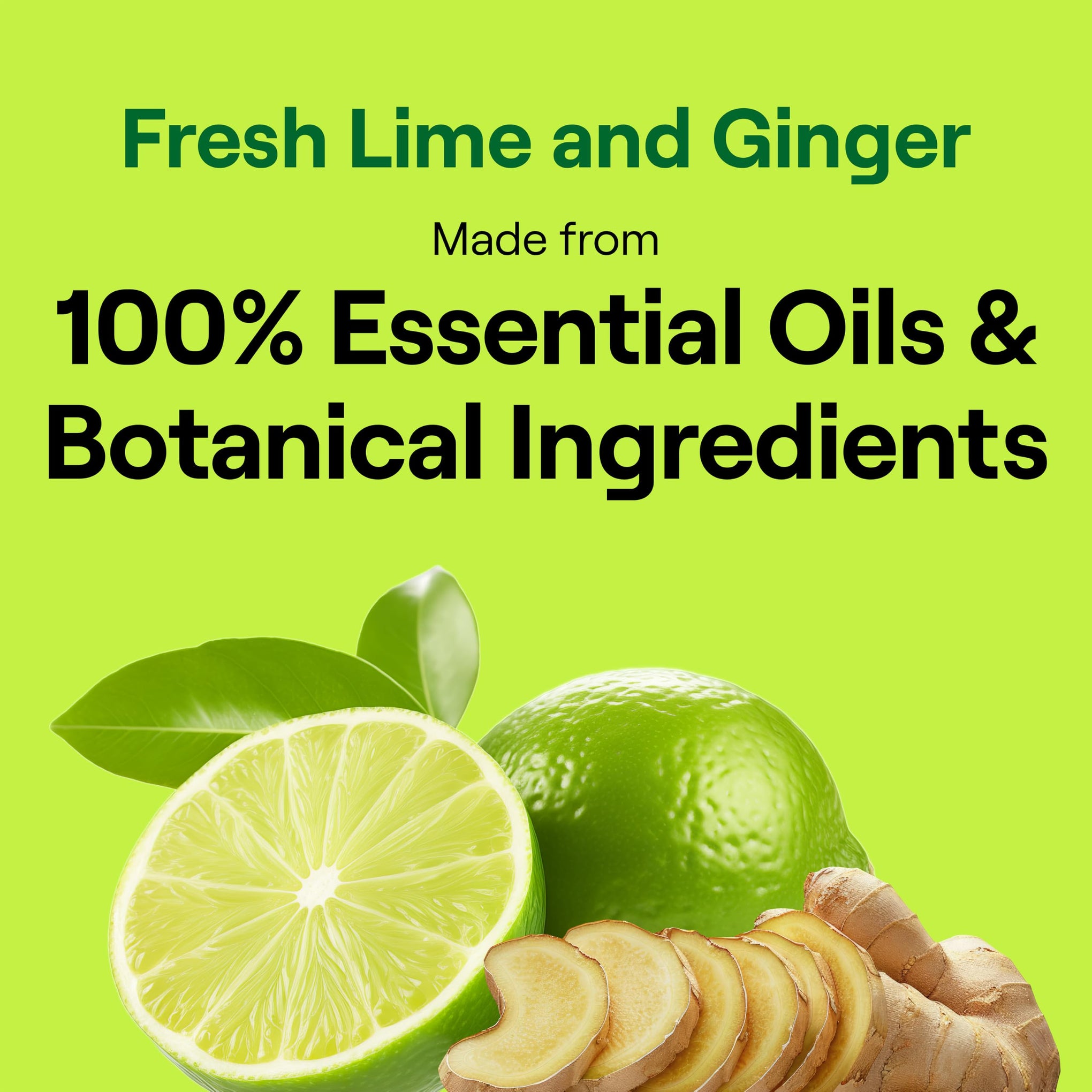 Dish Soap Fresh Lime & Ginger Scent 1 count Dishwashing Soap Dish Detergent Liquid Soap 19 oz (19 Fl Oz)