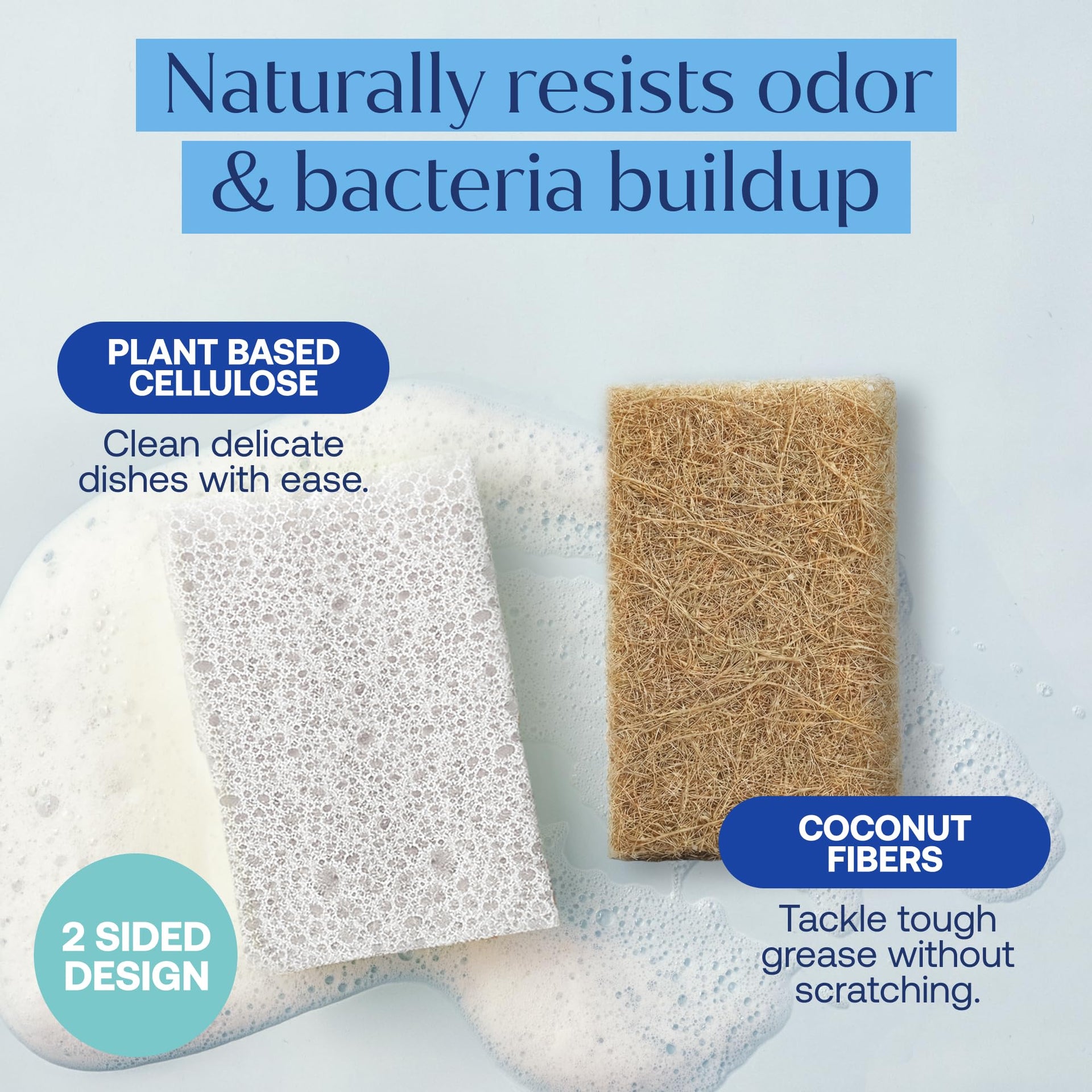 Coconut Cellulose Sponges (12 Count)