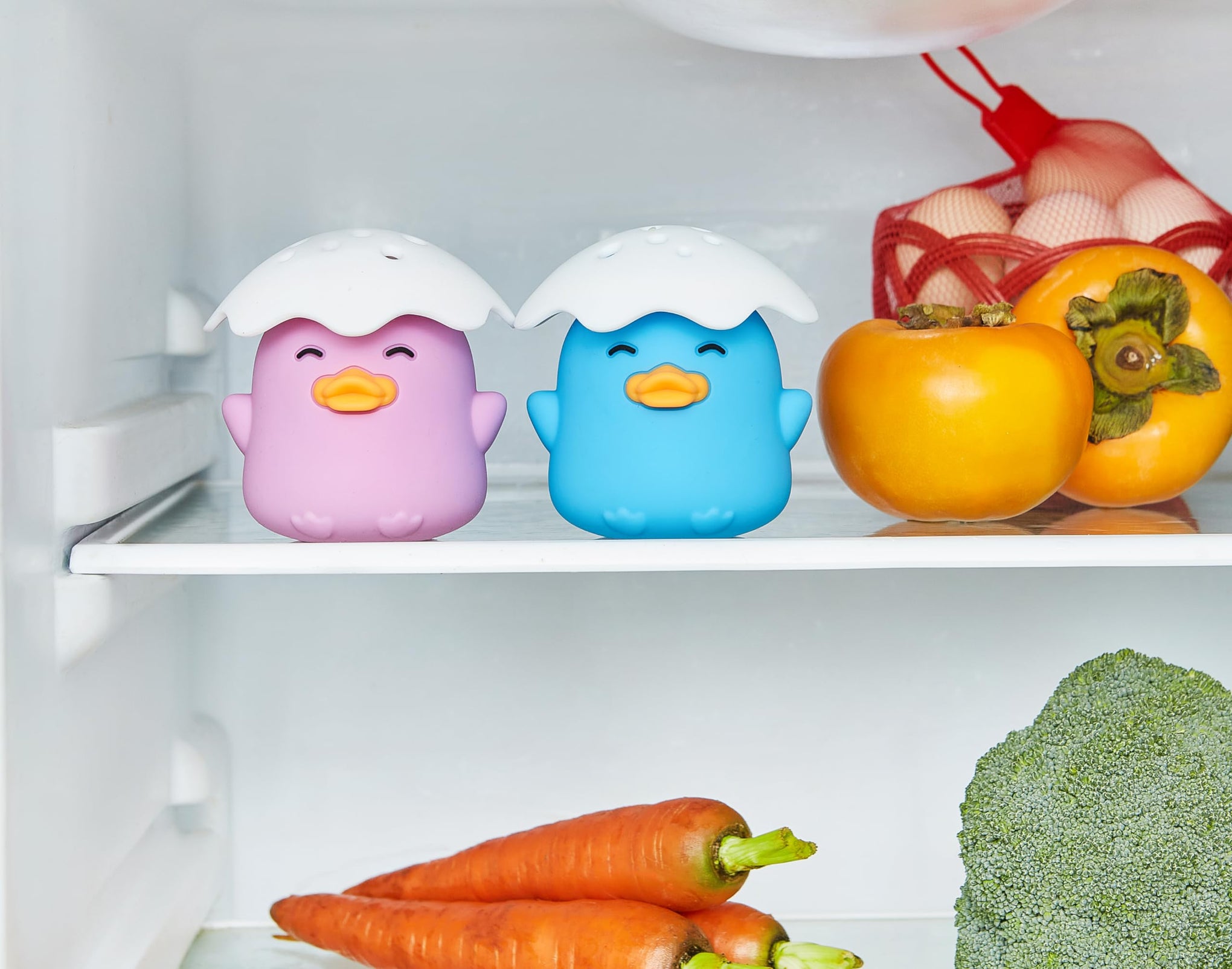 Duck Refrigerator Baking Soda Deodorizer Holder