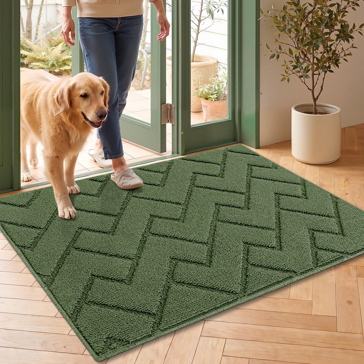 Door Mat Indoor Entrance