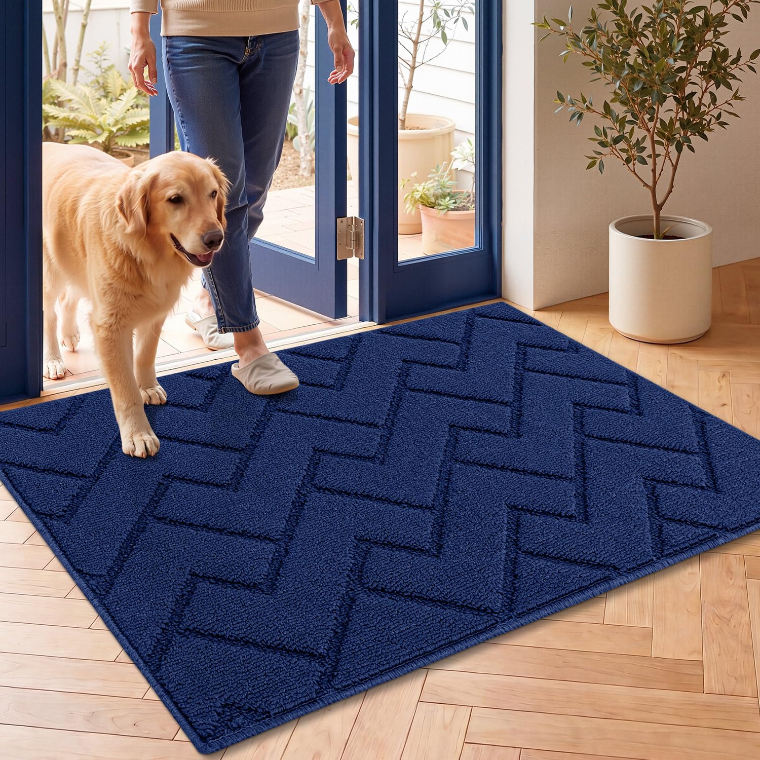 Door Mat Indoor Entrance