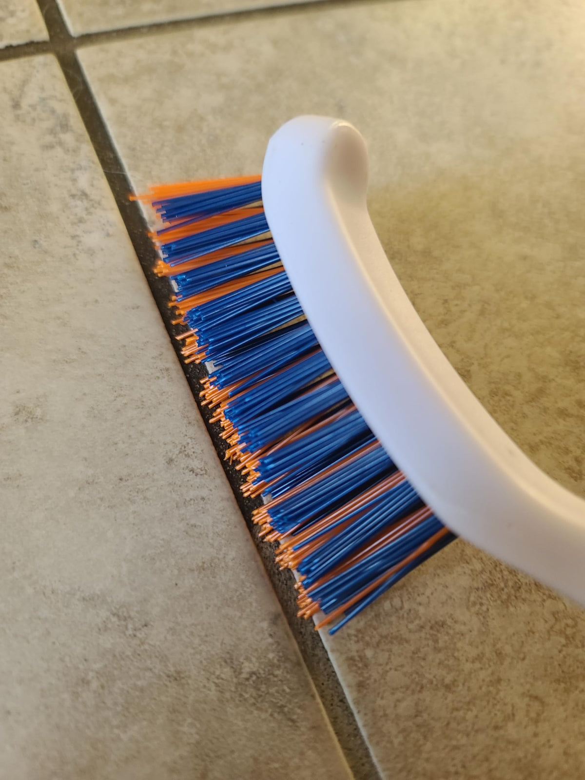 Bring It On Grout Cleaning Brush 6 (6 Count)