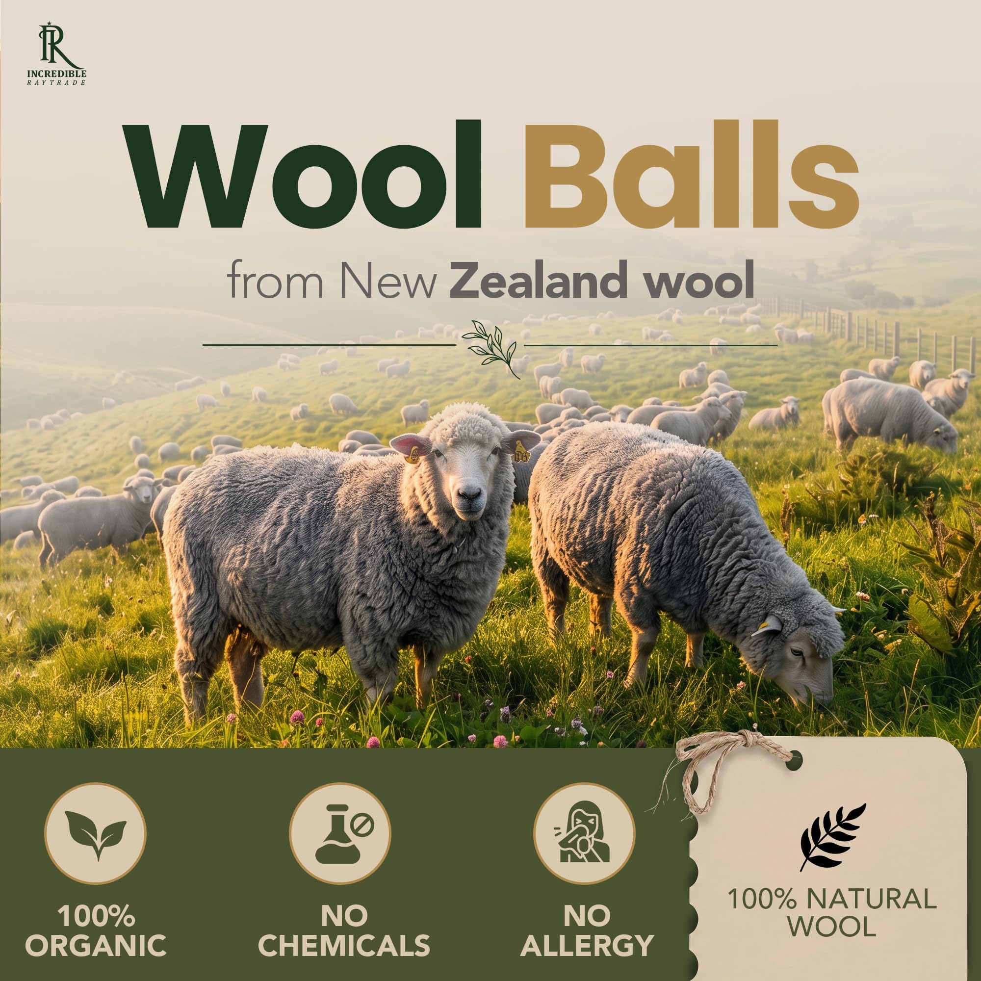 RAYTRADE Wool Dryer Balls 6 (6 Count)