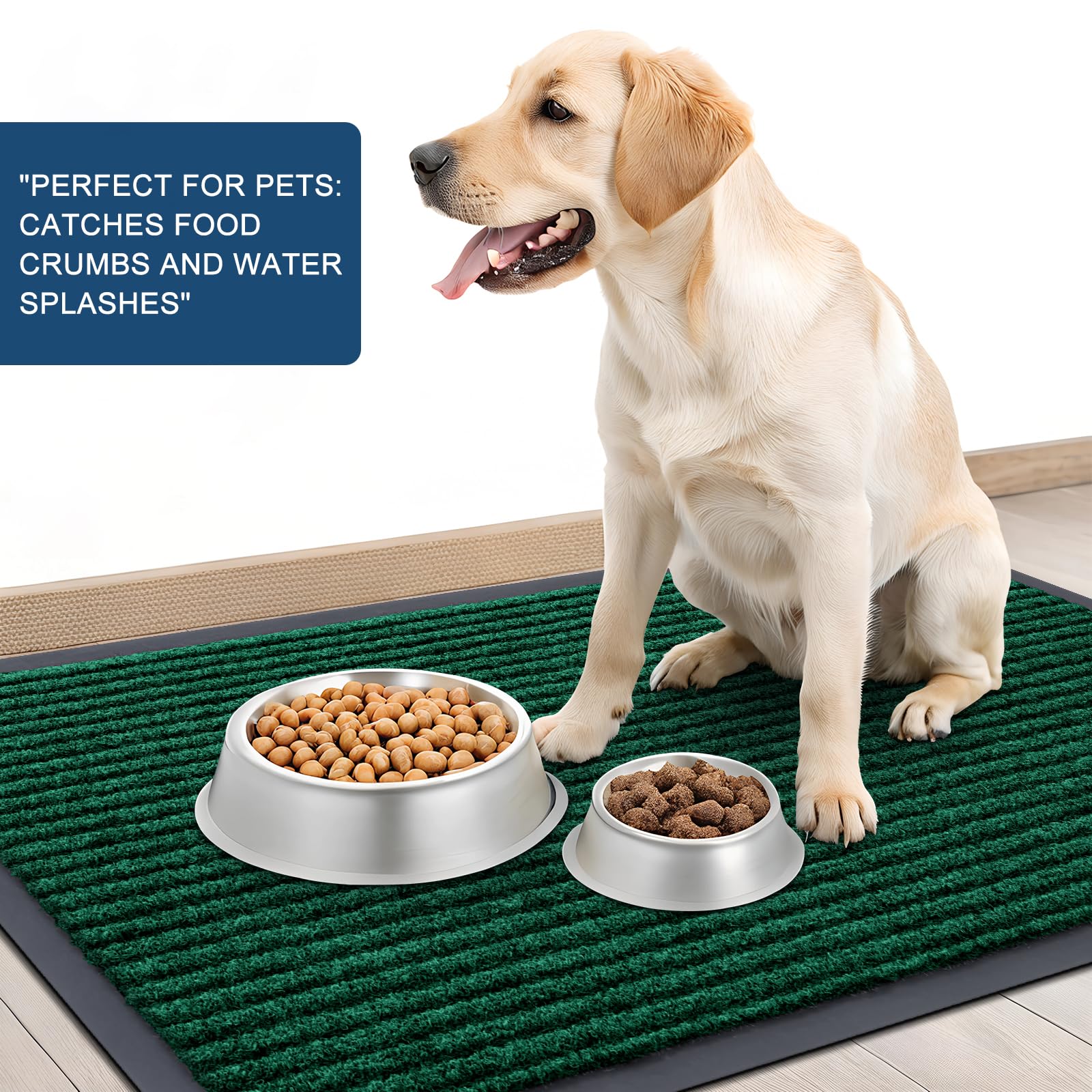 Front Door Mat 59x20