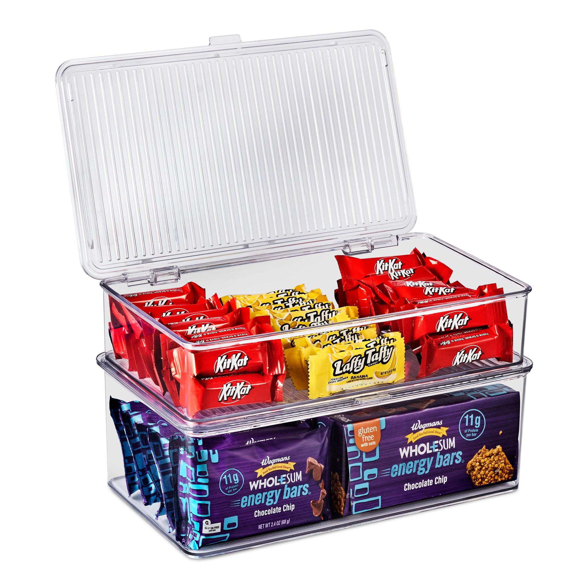 Sturdy Plastic Storage Bins with Lid (2 Count)