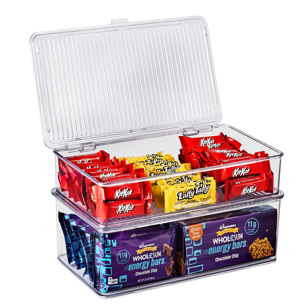 Sturdy Plastic Storage Bins with Lid (2 Count)