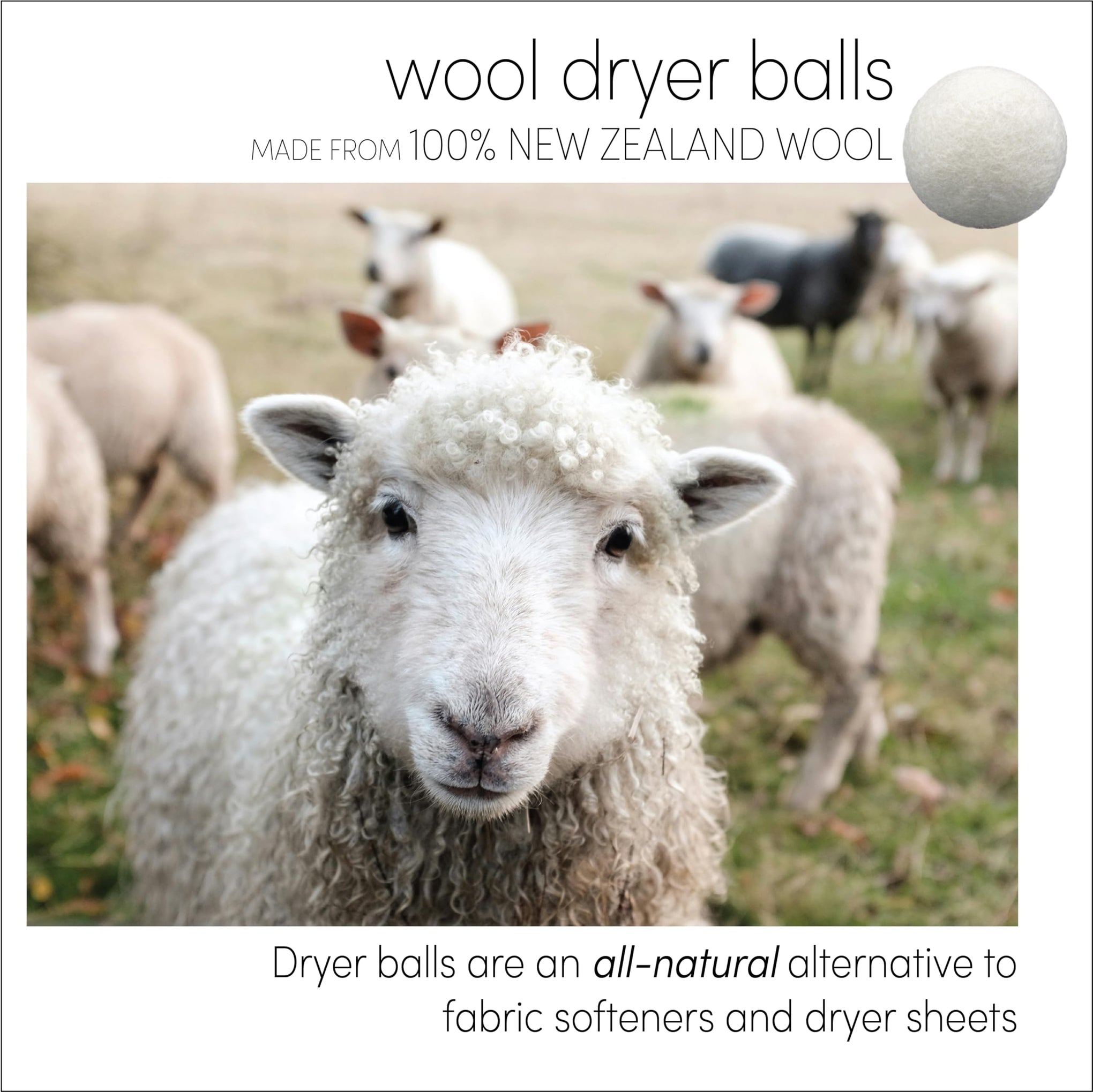 Wool Dryer Balls + Felt Storage Bin (6 Count)