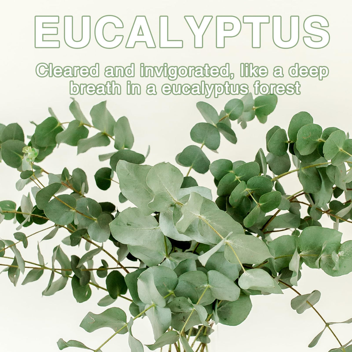 15PCS Eucalyptus Scented Sachets for Drawers and Closets (15 Count)