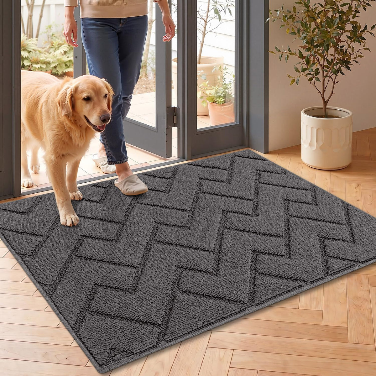 Door Mat Indoor Entrance