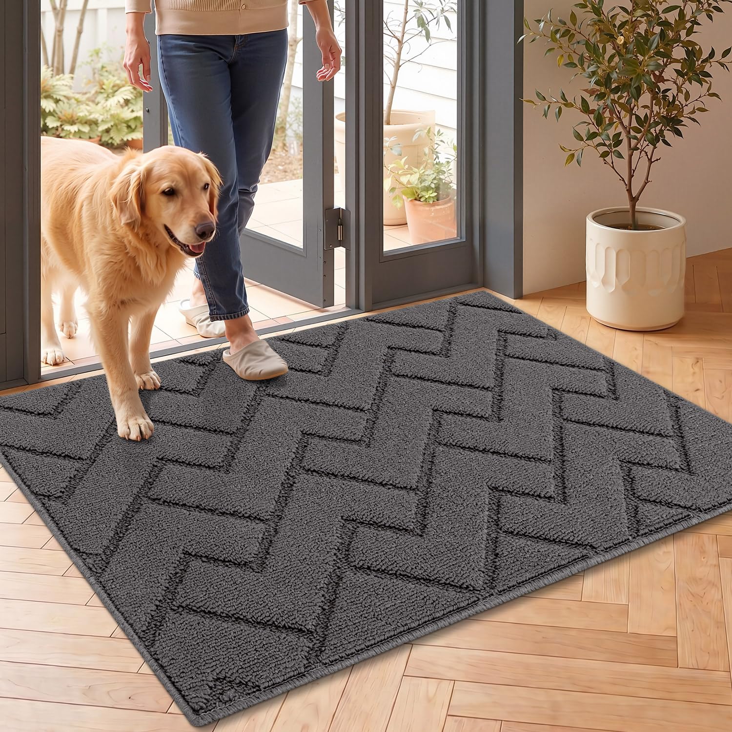 Door Mat Indoor Entrance